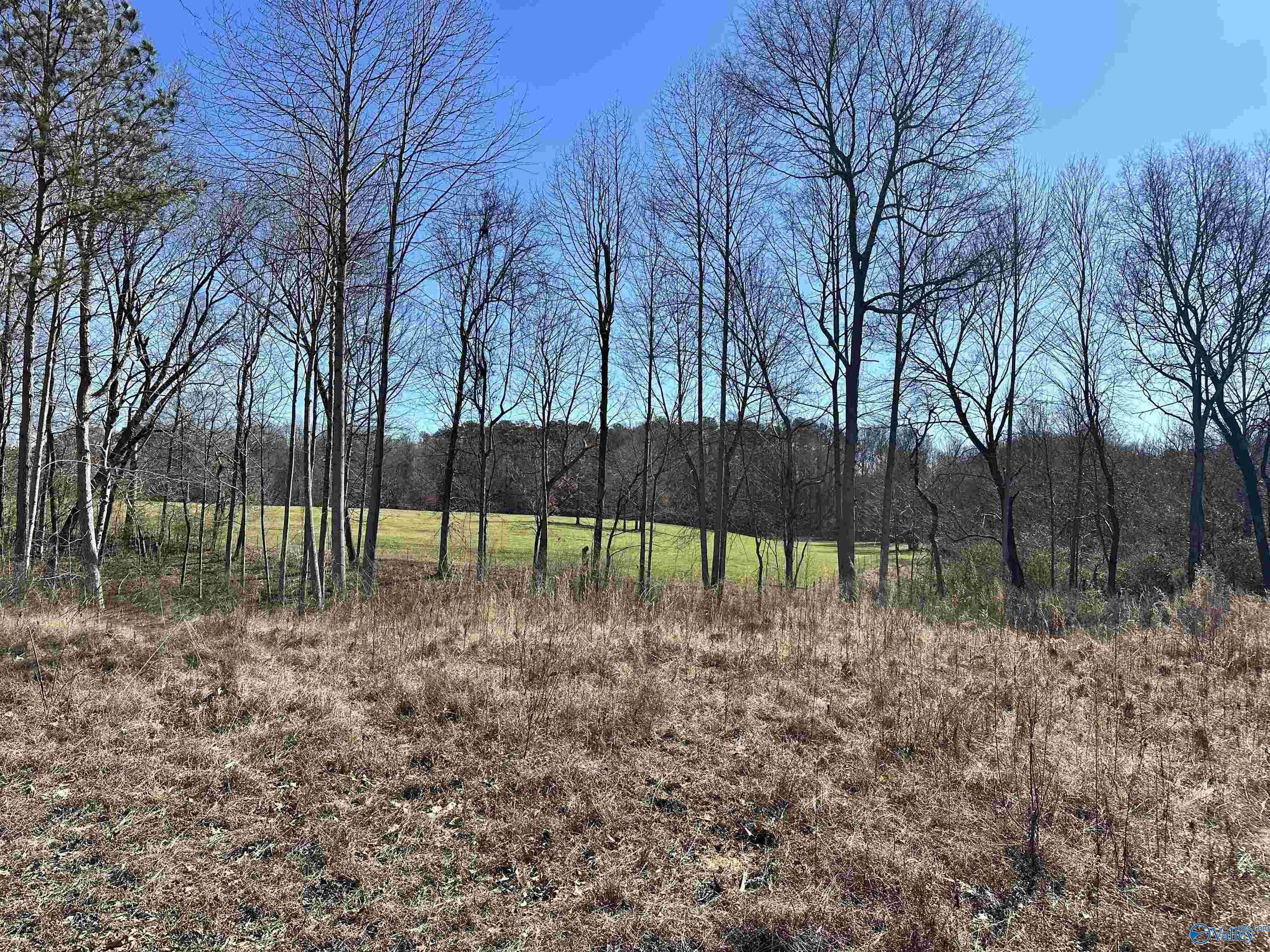 2105 Historical Village Drive, Arab, Alabama image 5