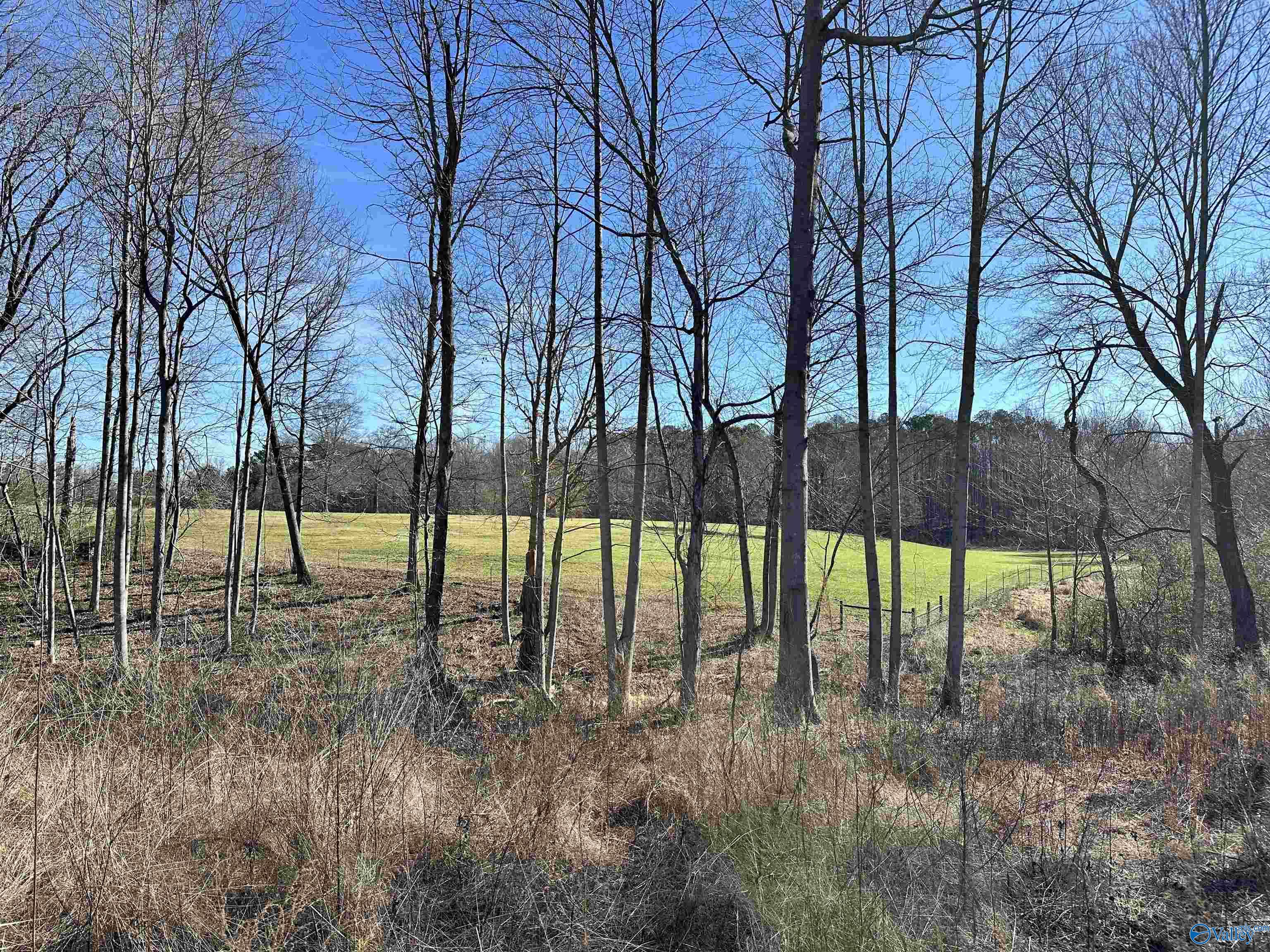 2105 Historical Village Drive, Arab, Alabama image 3