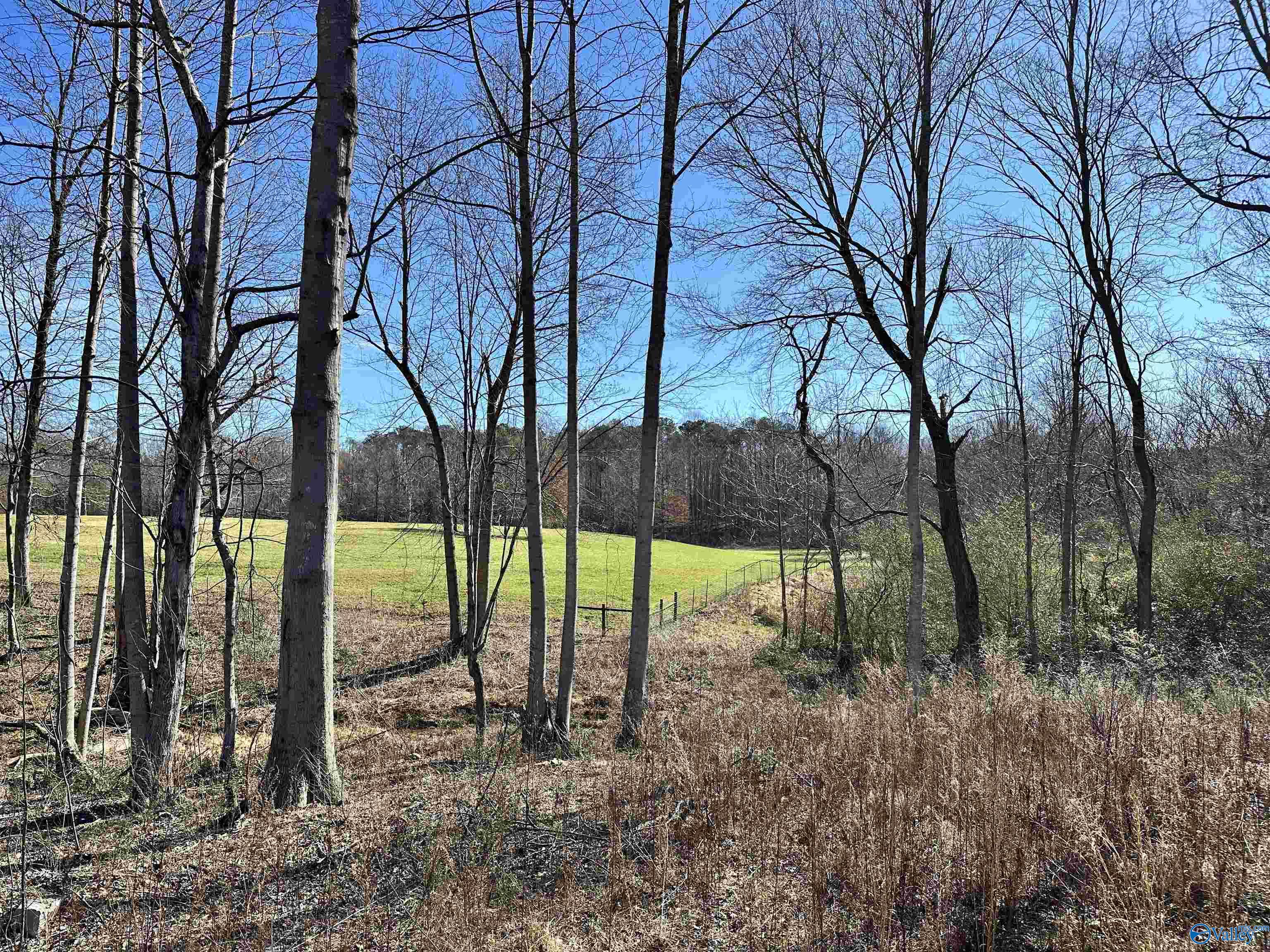 2105 Historical Village Drive, Arab, Alabama image 2