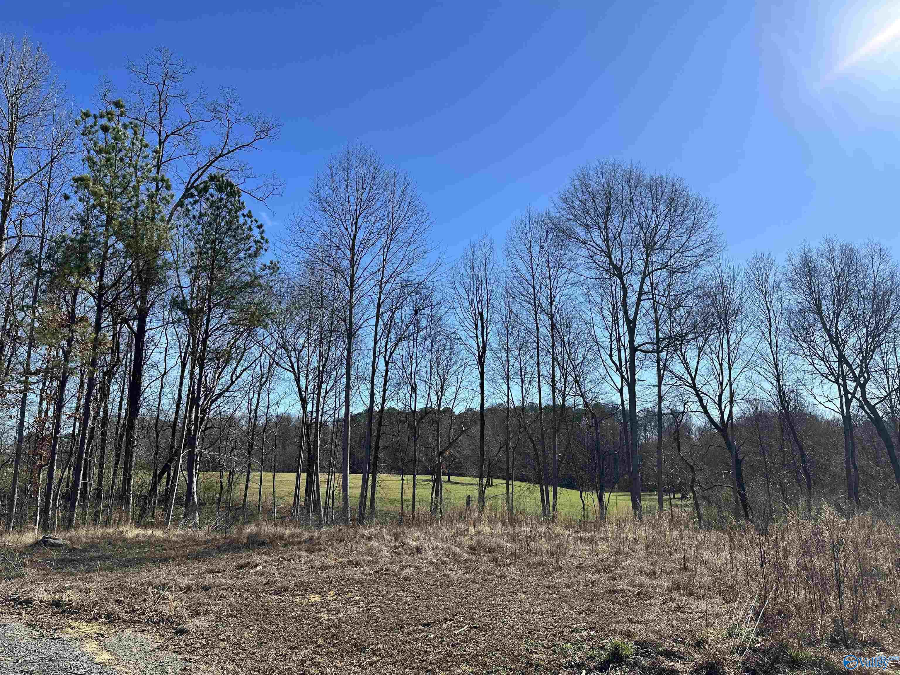2105 Historical Village Drive, Arab, Alabama image 1