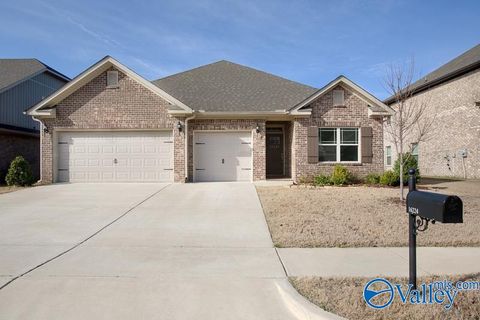 Photo of 16224 Trestle Street SE, Huntsville, AL 35803 (MLS # 21905622)