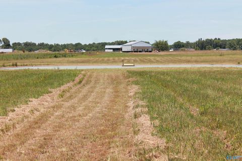 Vacant Land For Sale - TRACT 7 W Highway 55<br/> Falkville, AL 35622