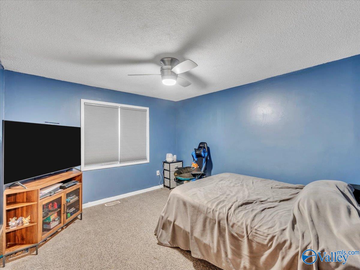 5116 Spring Creek Drive, Guntersville, Alabama image 16