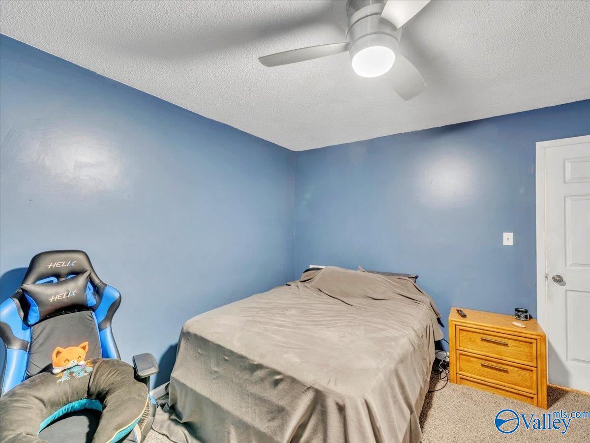 5116 Spring Creek Drive, Guntersville, Alabama image 17