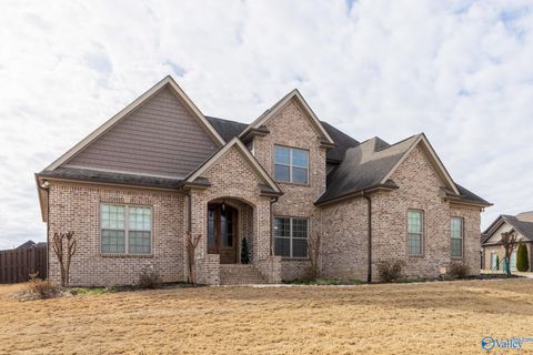 Photo of 27744 Bluffview Drive, Athens, AL 35613 (MLS # 21908290)