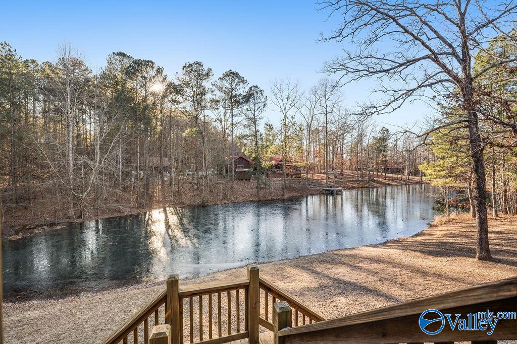 3315 County Road 106, Mentone, Alabama image 11