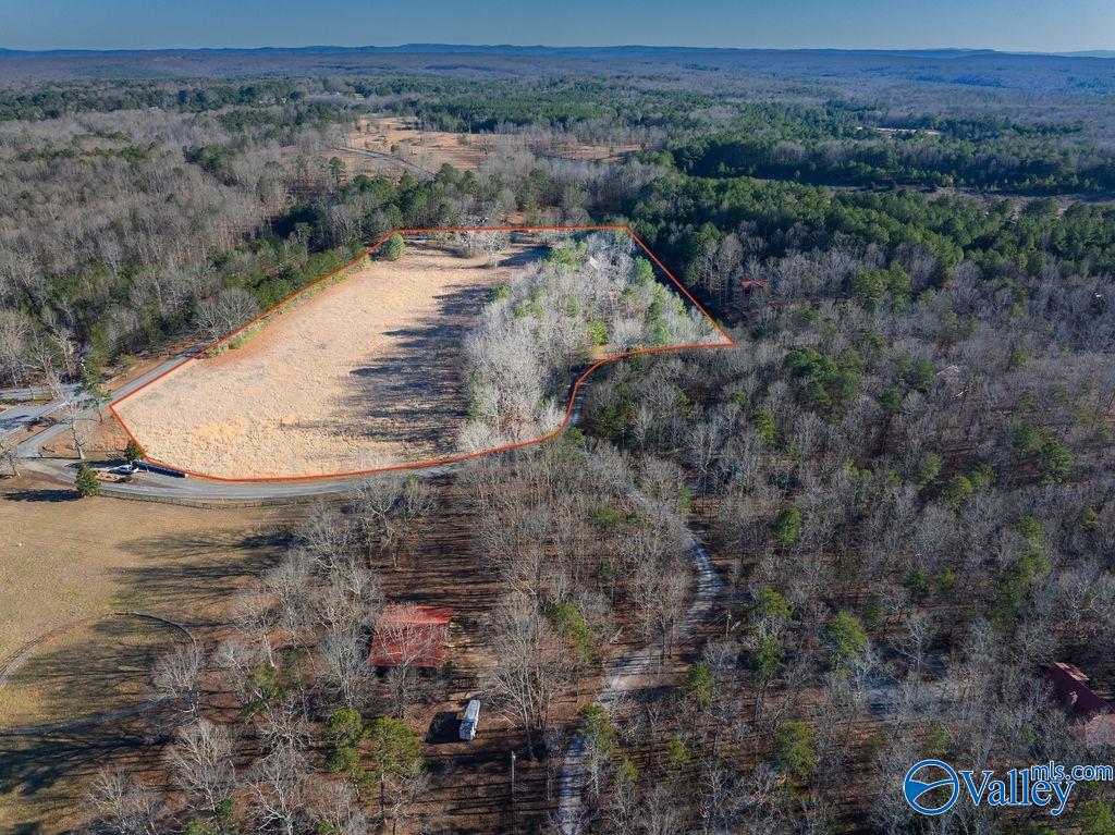 3315 County Road 106, Mentone, Alabama image 2