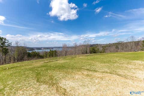 Vacant Land For Sale - LOT C8 County Road 913<br/> Crane Hill, AL 35053