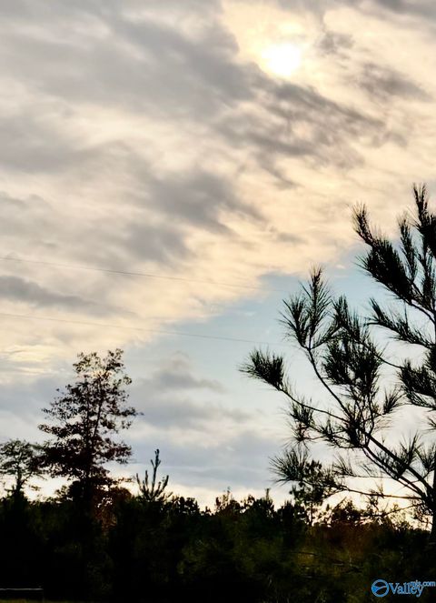 Vacant Land For Sale - LOT 4 County Road 39<br/> Cherokee County, Piedmont, AL 36272