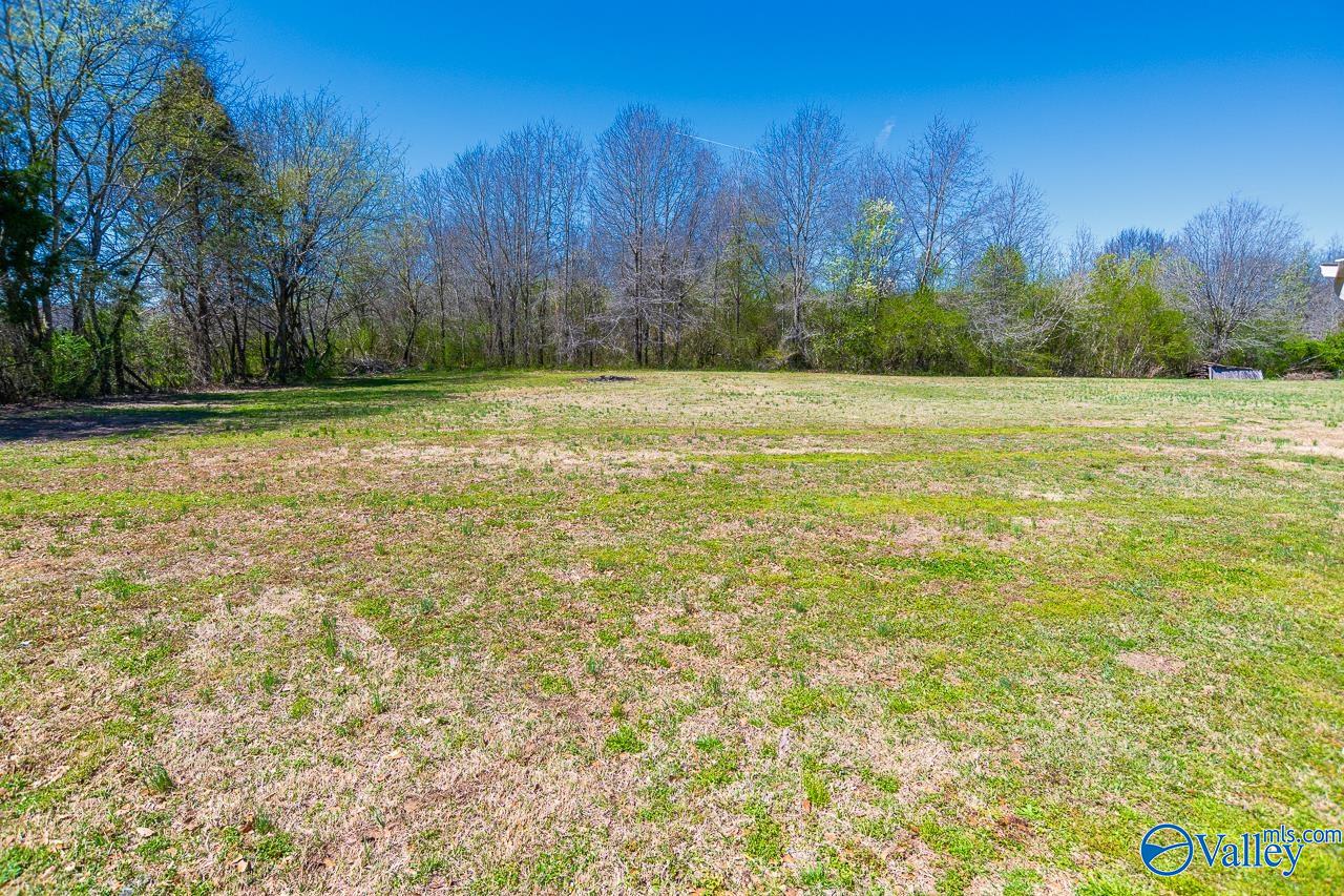 1707 County Road 434, Moulton, Alabama image 21