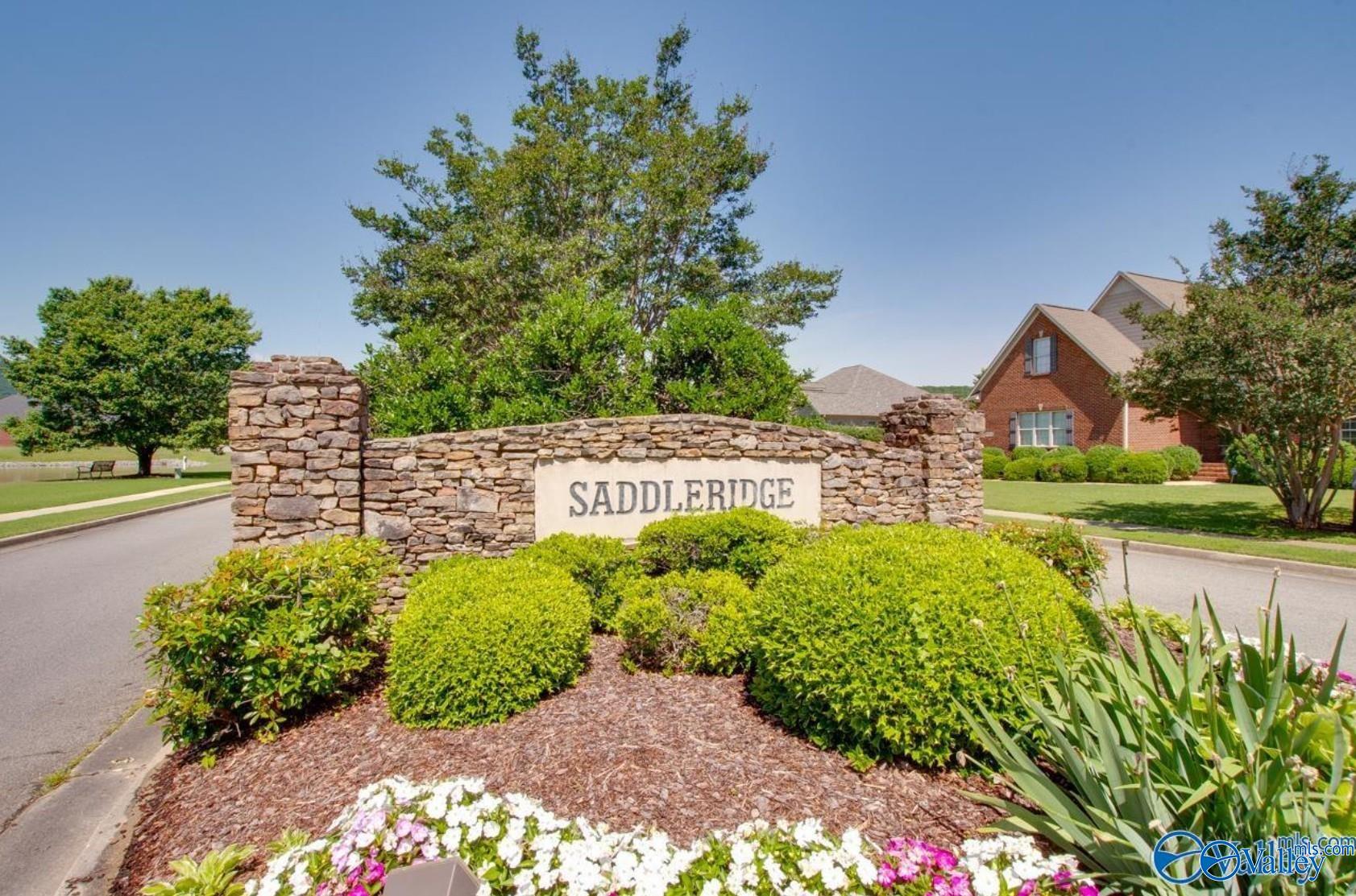 4805 Saddle Ridge Drive, Owens Cross Roads, Alabama image 45
