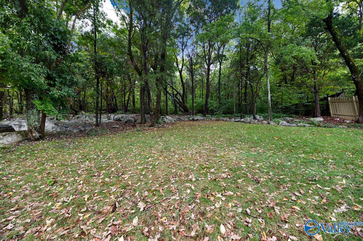 1229 Deborah Drive, Huntsville, Alabama image 41