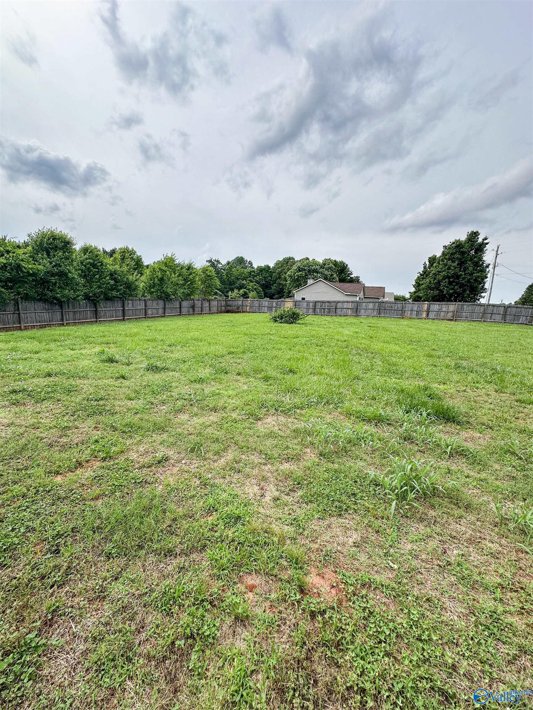 100 Meadow Green Drive, New Market, Alabama image 28