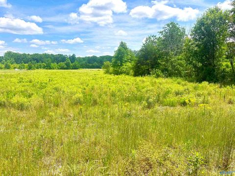Vacant Land For Sale - TRACT 5 Loggins Road<br/> Athens, AL 35614
