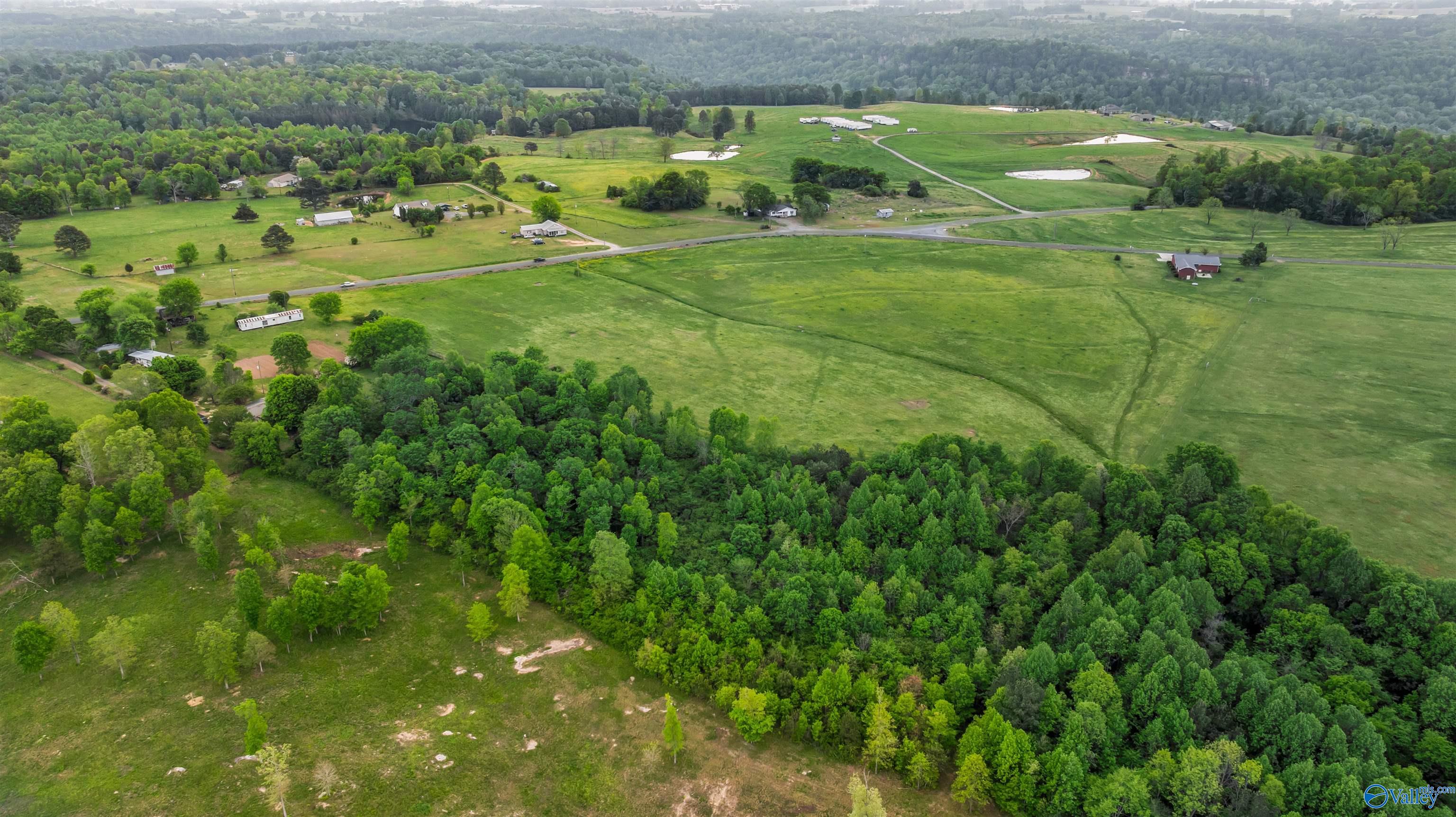 16 Acres +/- County Road 152, Section, Alabama image 6