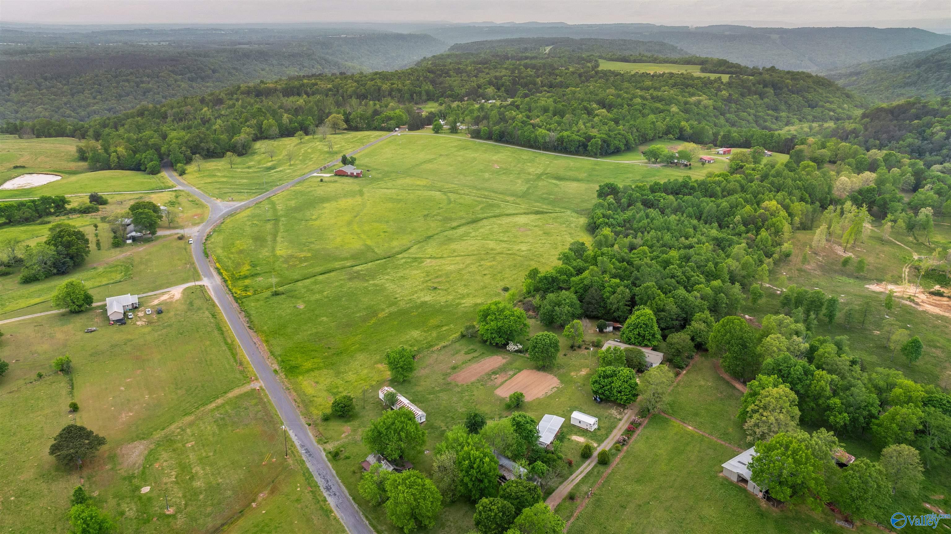 16 Acres +/- County Road 152, Section, Alabama image 9