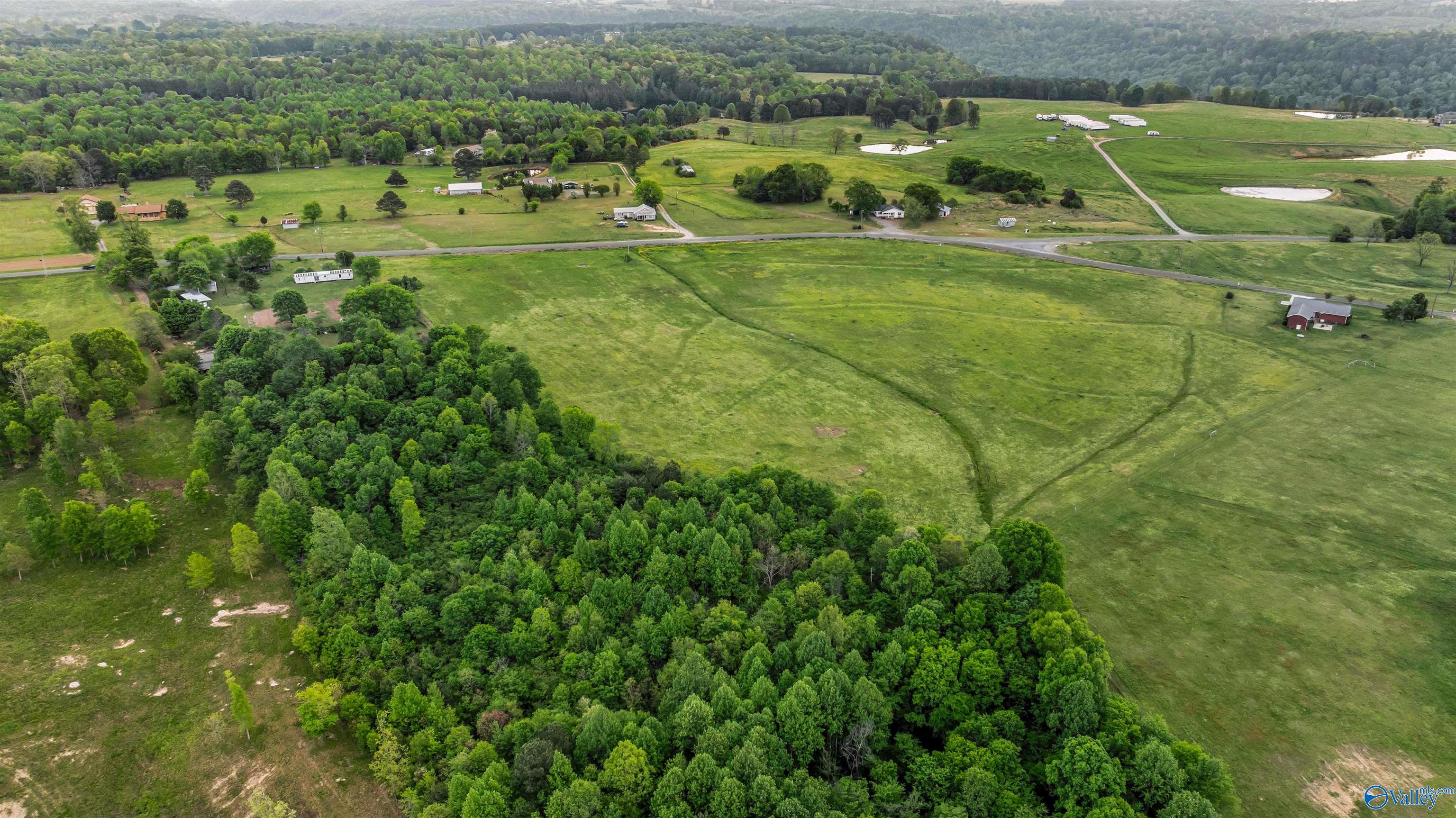 16 Acres +/- County Road 152, Section, Alabama image 5
