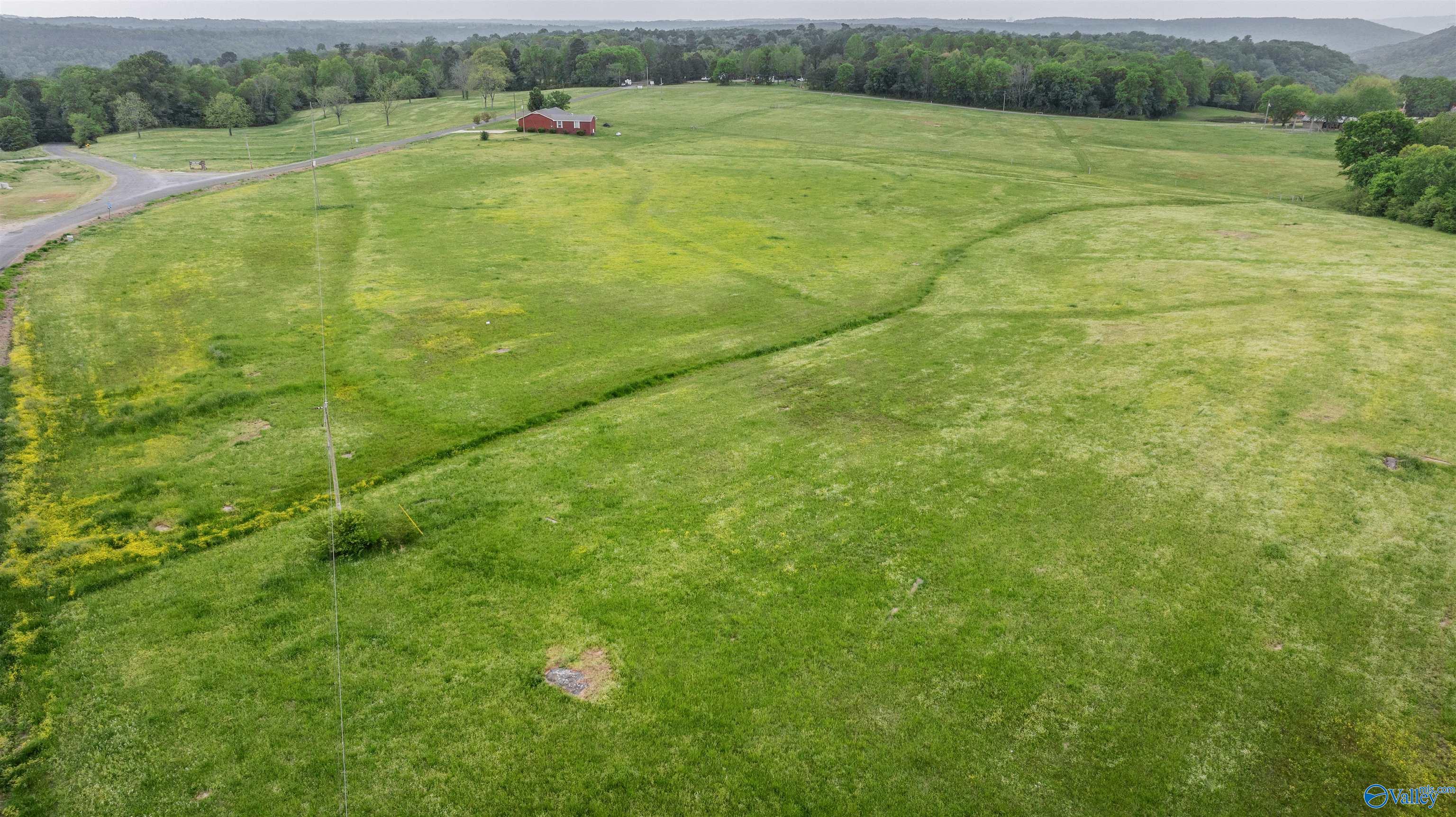 16 Acres +/- County Road 152, Section, Alabama image 8