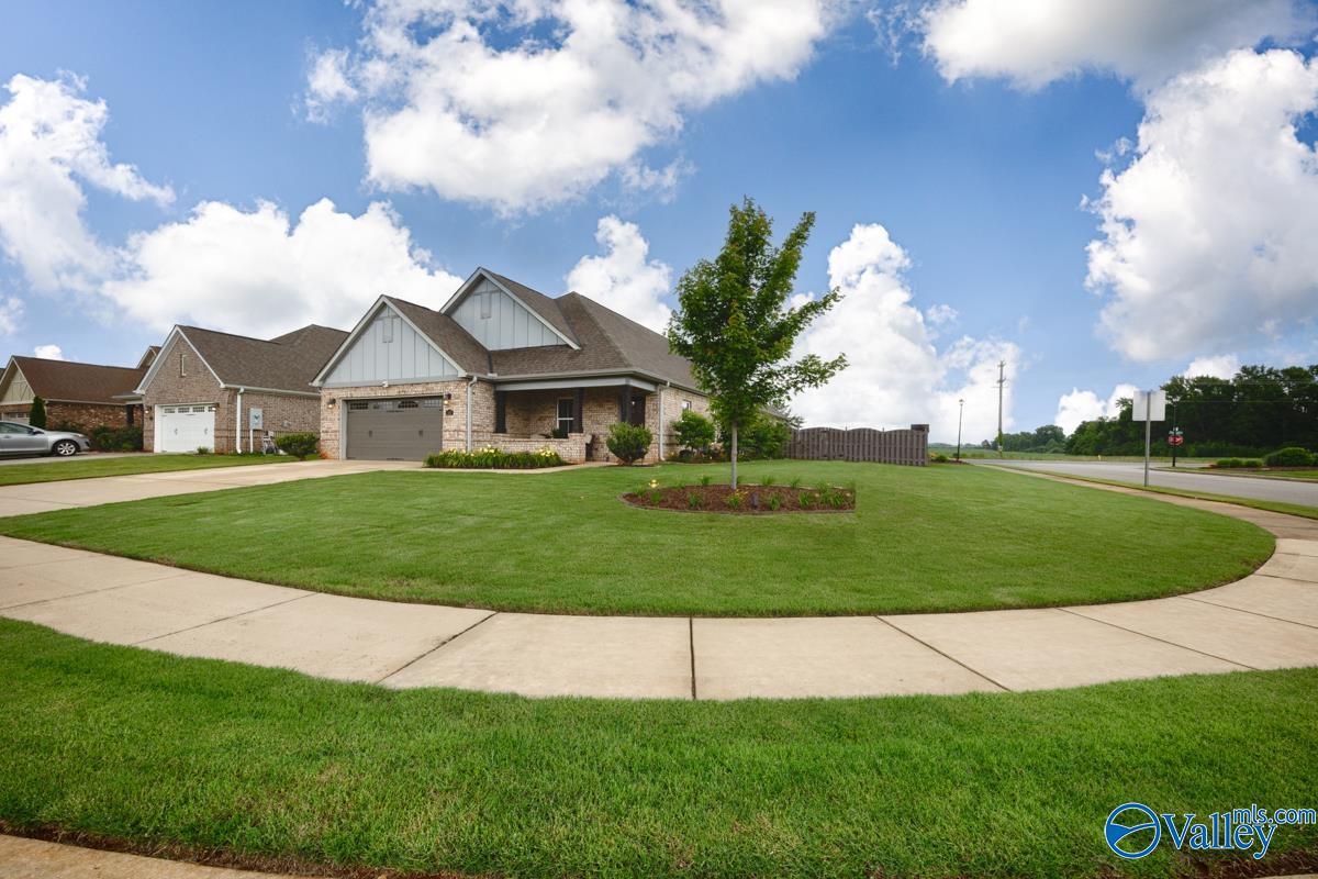 100 Kinglet Way, Madison, Alabama image 4