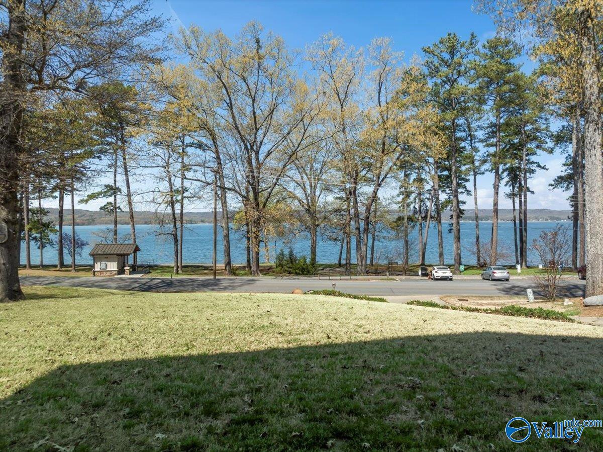 2341 Sunset Drive, Guntersville, Alabama image 13