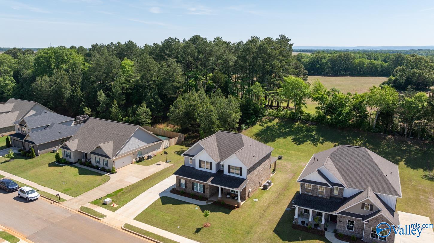 123 Ivy Vine Drive, Toney, Alabama image 5