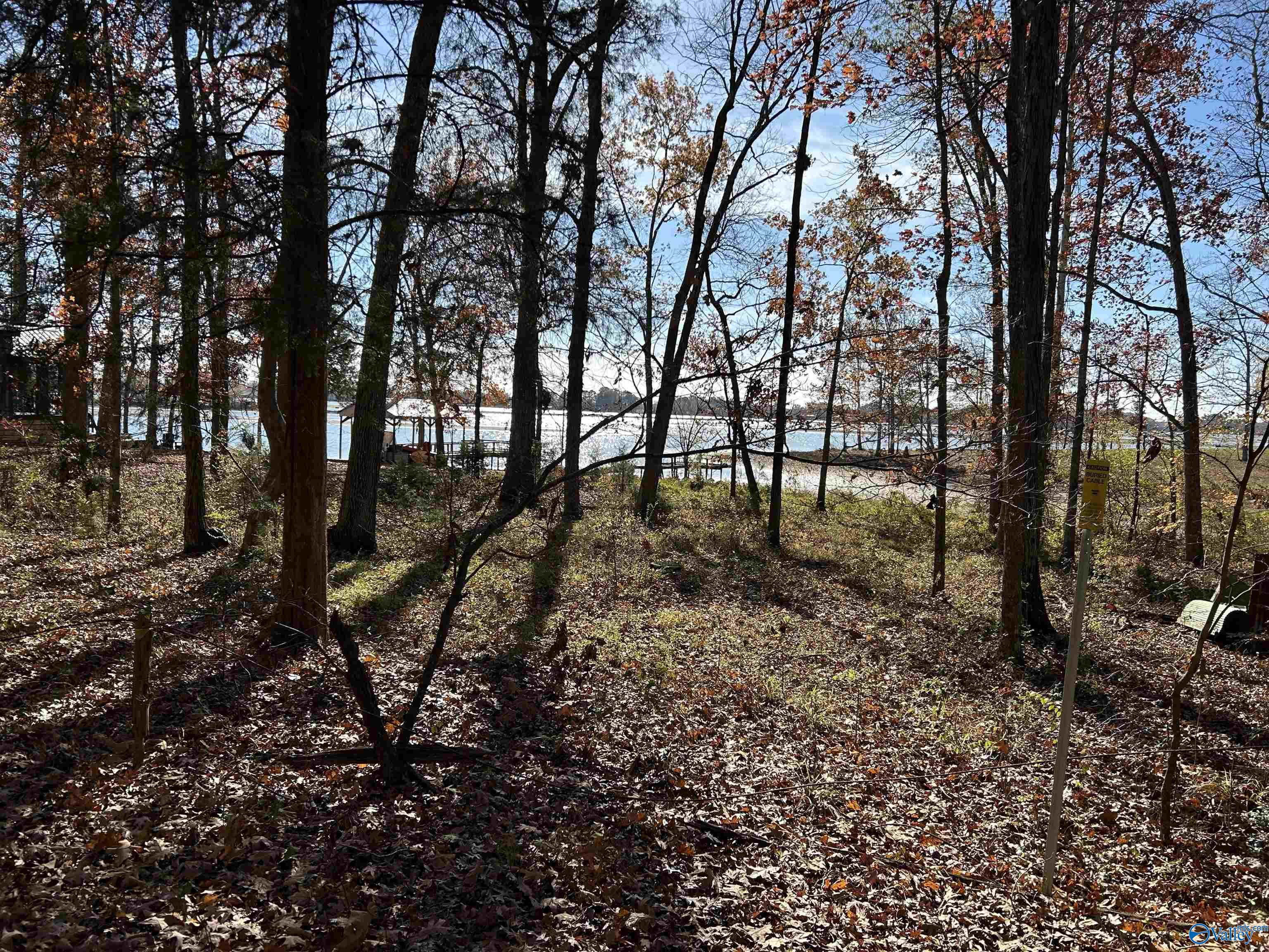 Lot 14-B County Road 671, Cedar Bluff, Alabama image 4