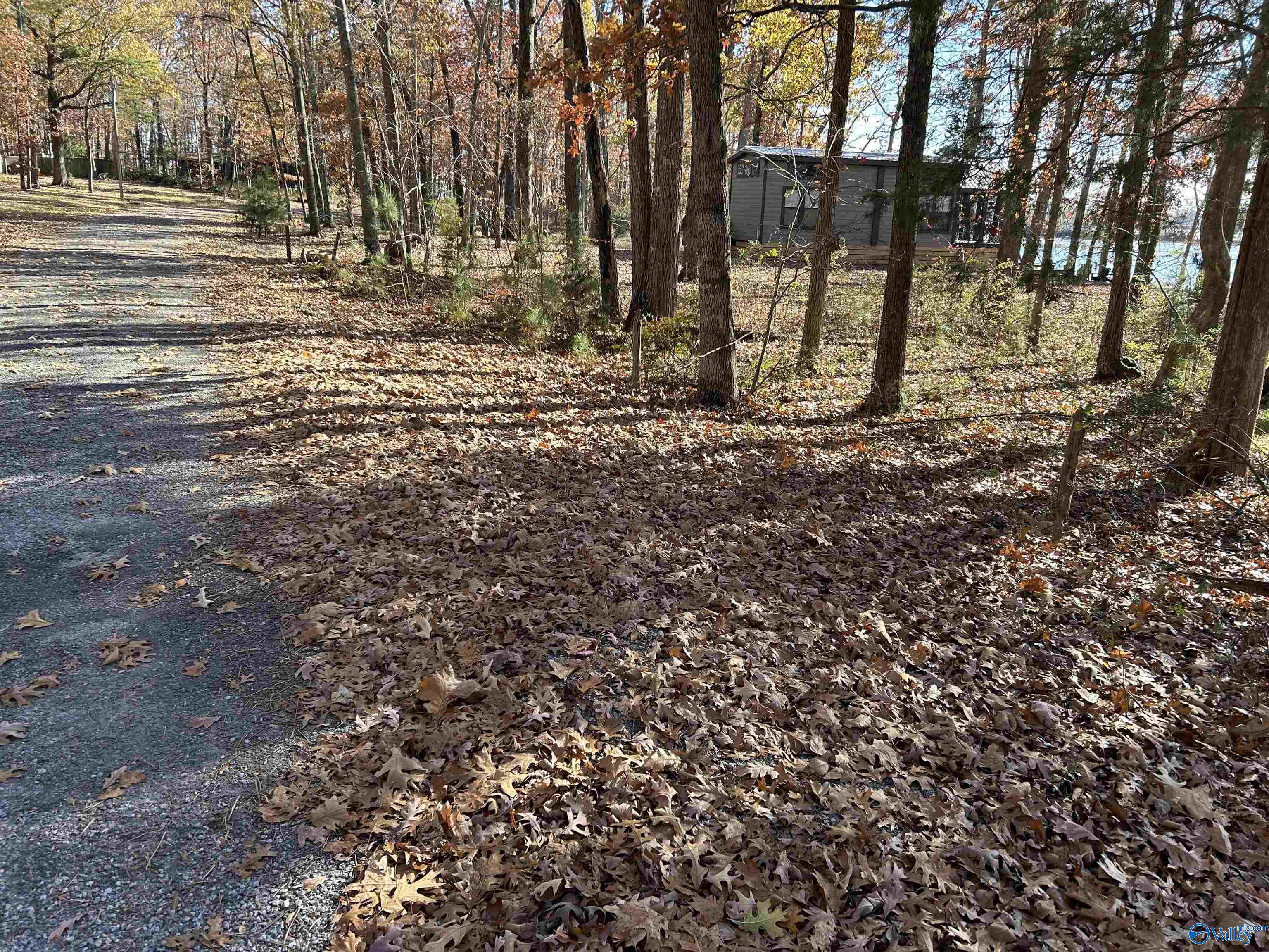 Lot 14-B County Road 671, Cedar Bluff, Alabama image 3