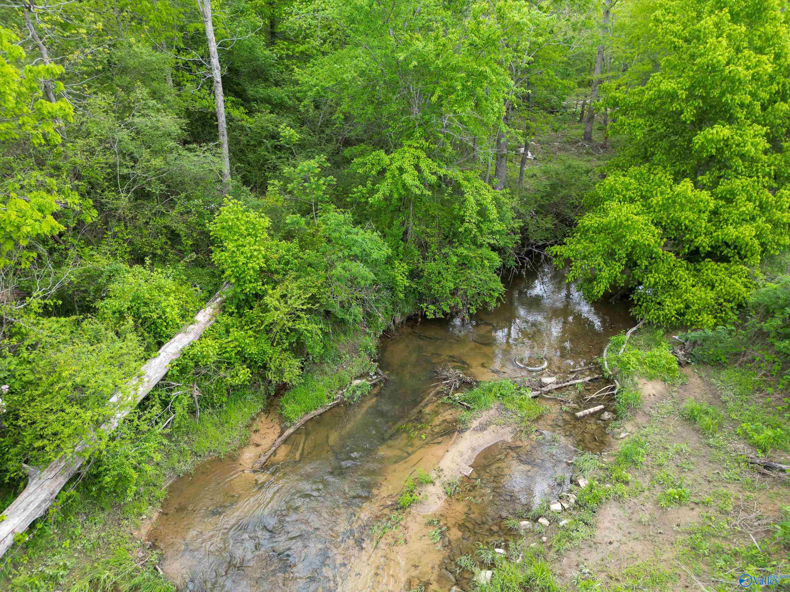1062 Garrett Street, Rainsville, Alabama image 28