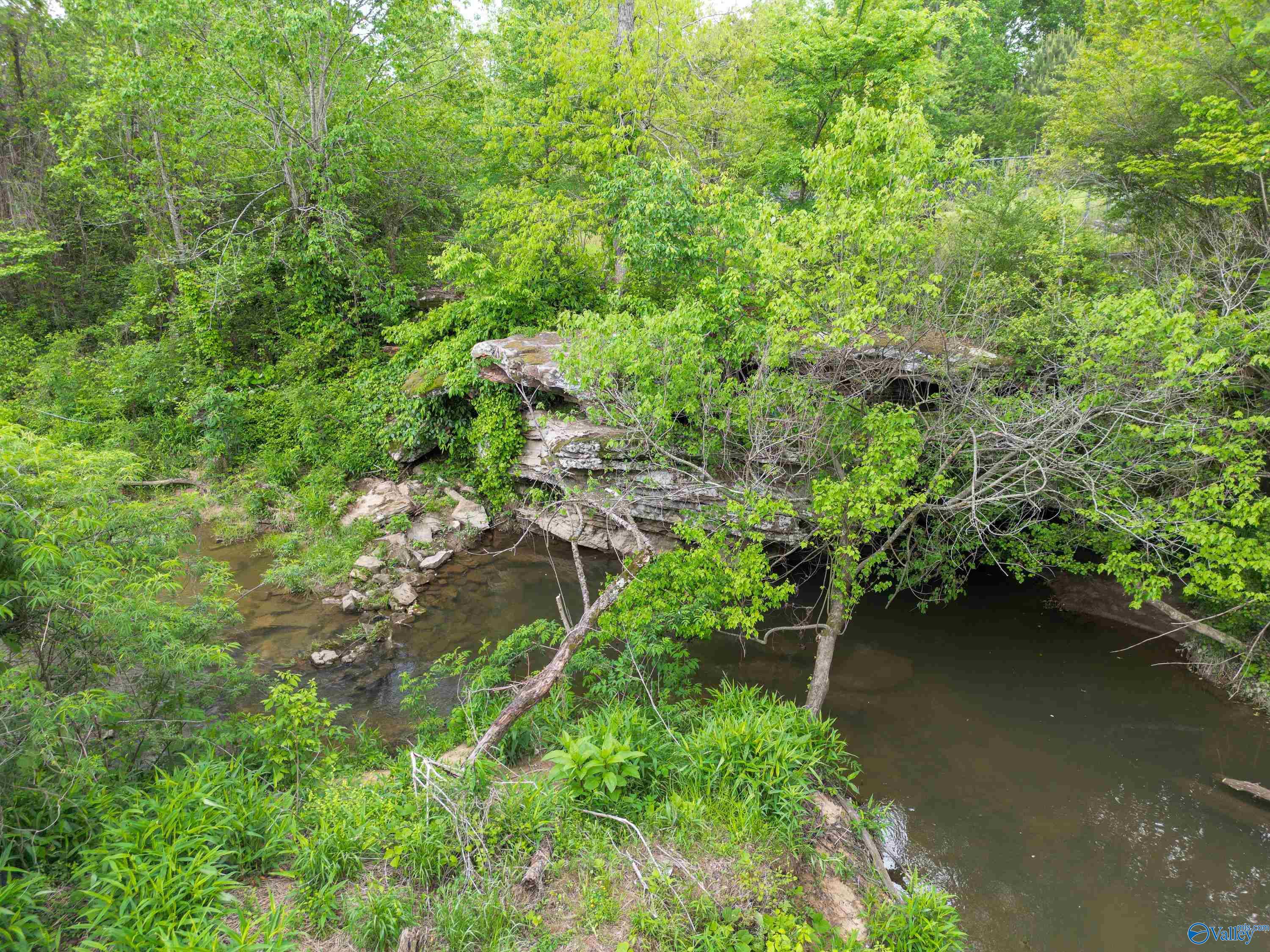 1062 Garrett Street, Rainsville, Alabama image 2