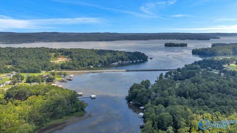 Vacant Land For Sale - 321 Carlton Road<br/> Scottsboro, AL 35769