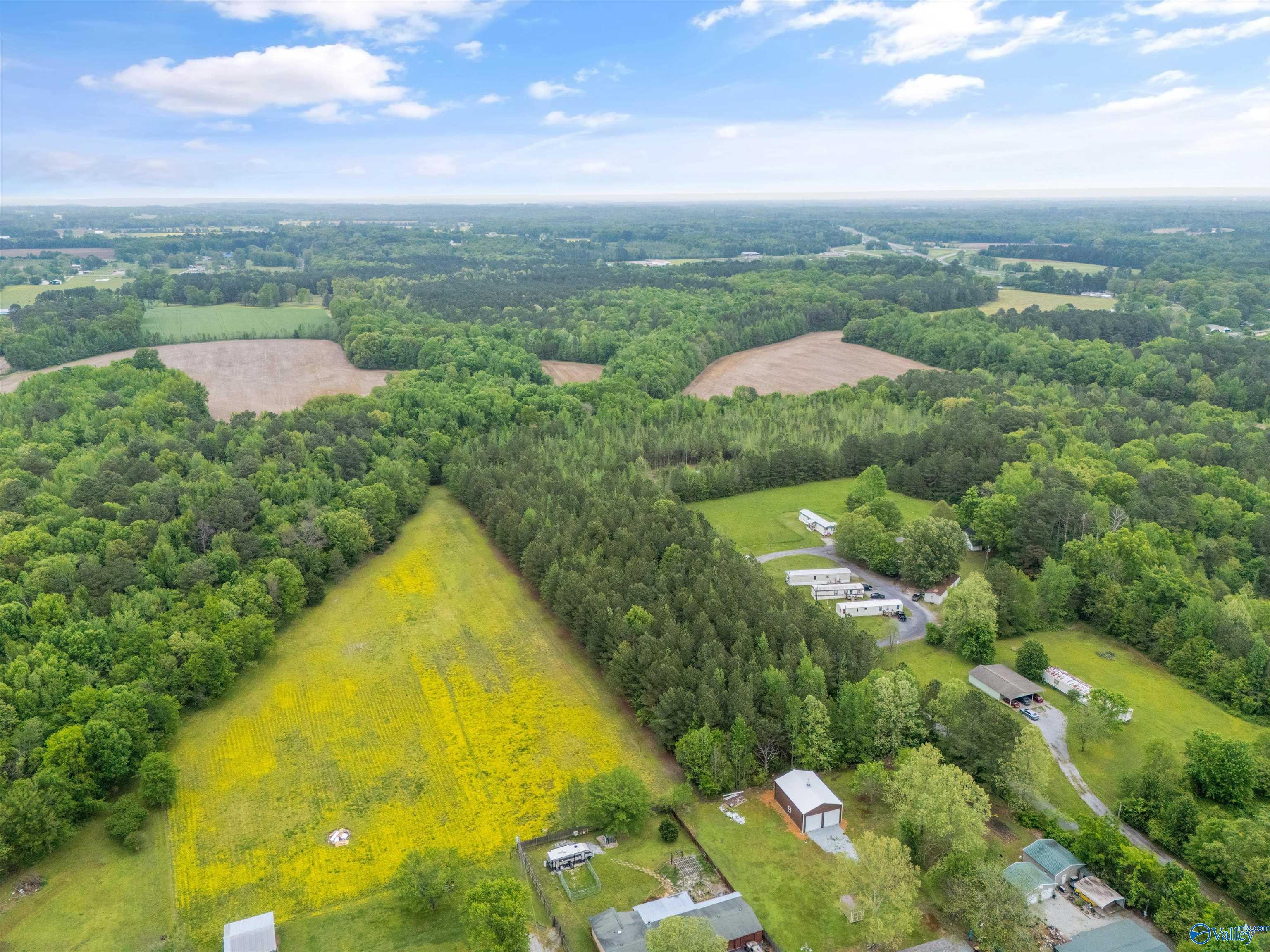 5.50 Acres New Garden Road, Elkmont, Alabama image 6