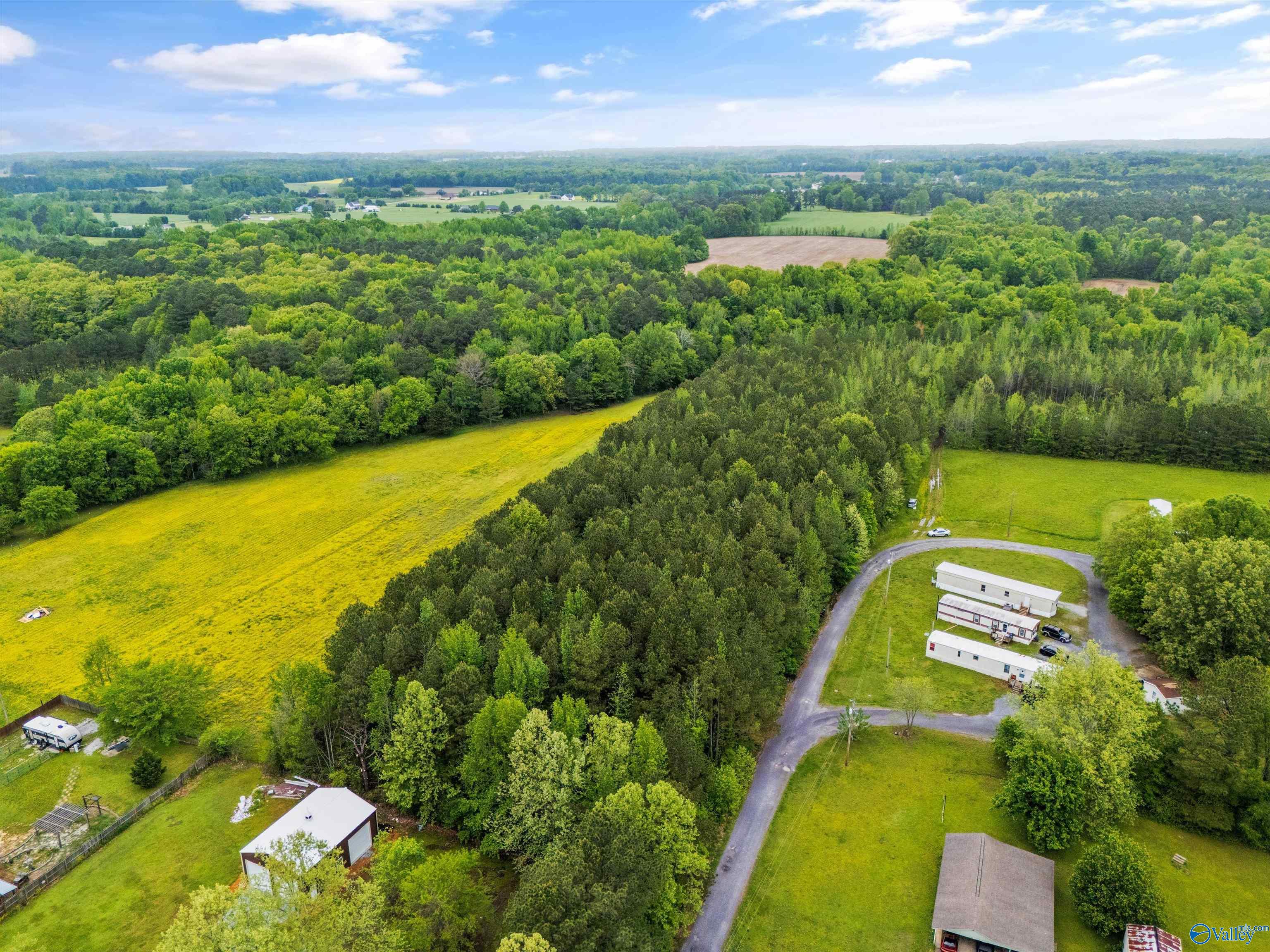 5.50 Acres New Garden Road, Elkmont, Alabama image 11