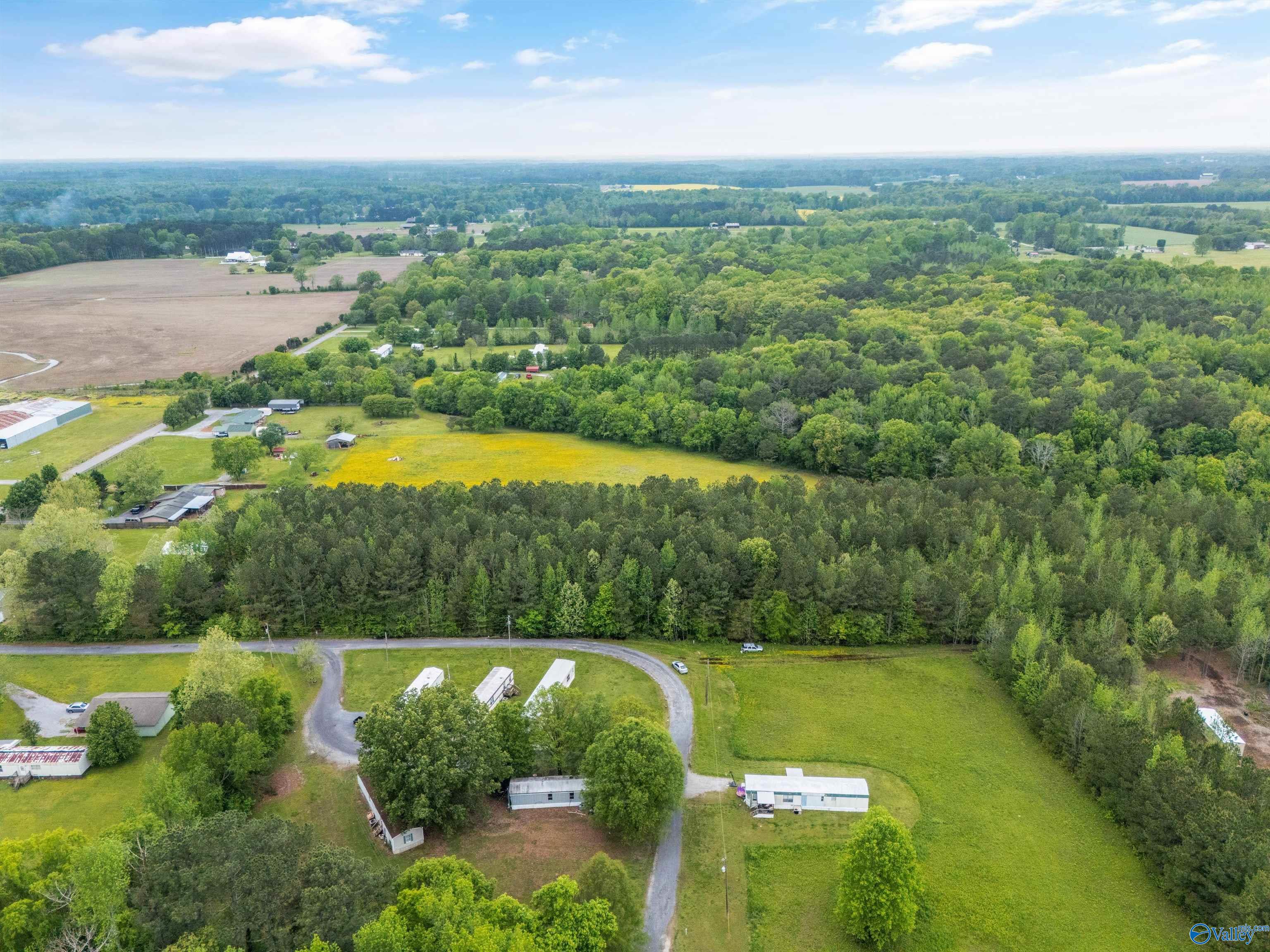 5.50 Acres New Garden Road, Elkmont, Alabama image 10