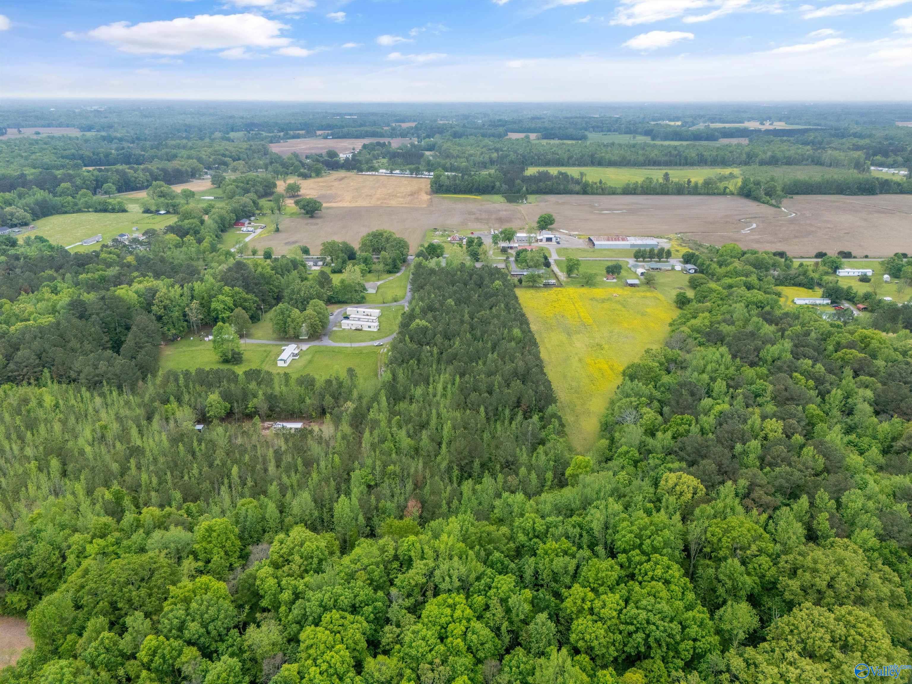 5.50 Acres New Garden Road, Elkmont, Alabama image 4