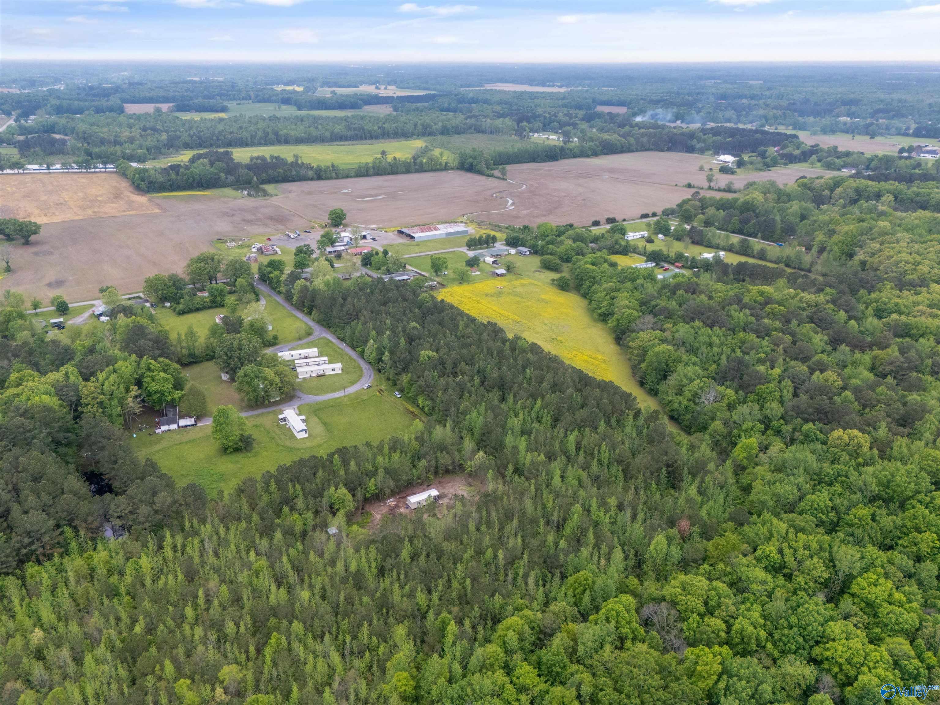 5.50 Acres New Garden Road, Elkmont, Alabama image 9