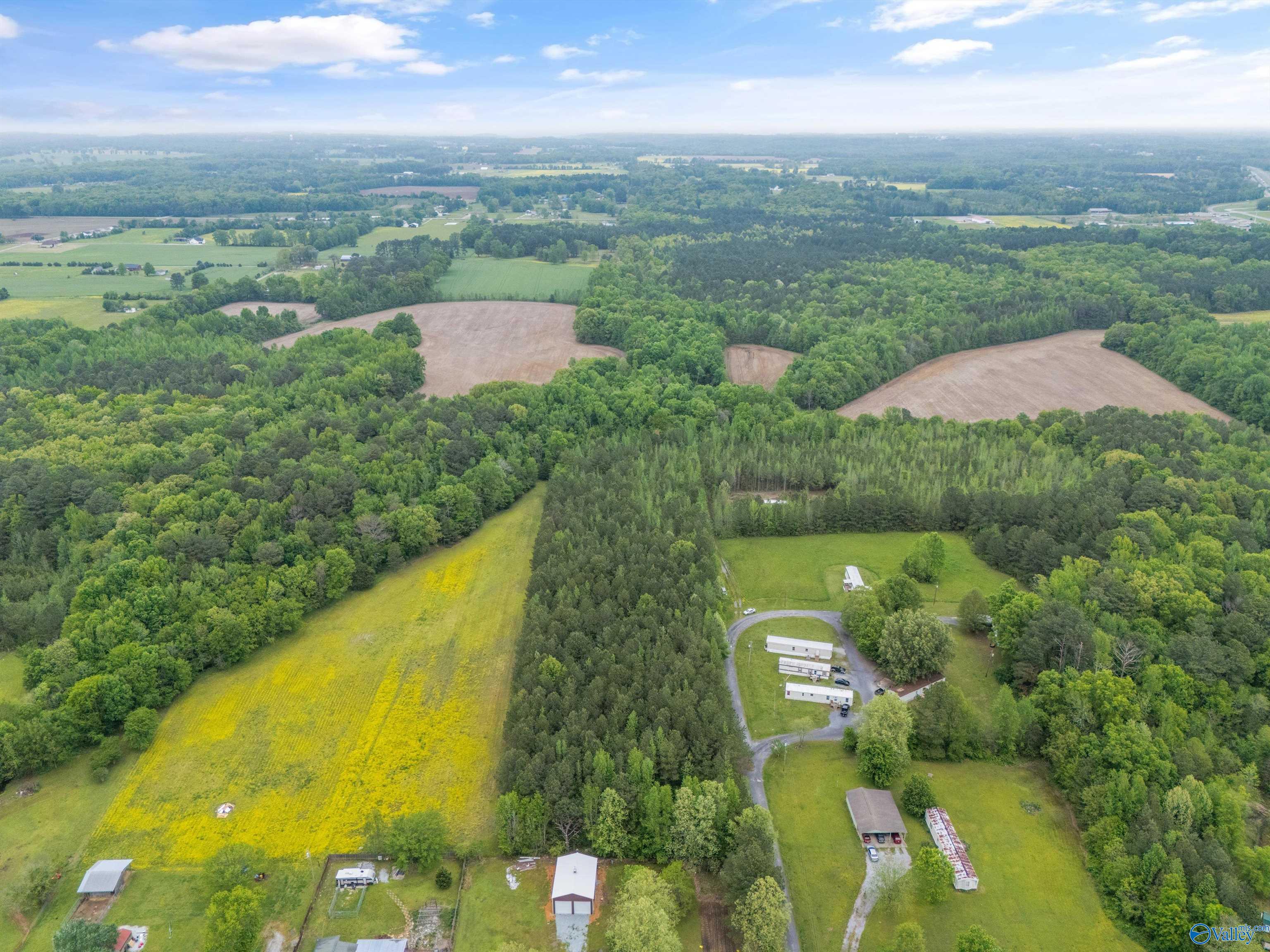 5.50 Acres New Garden Road, Elkmont, Alabama image 8