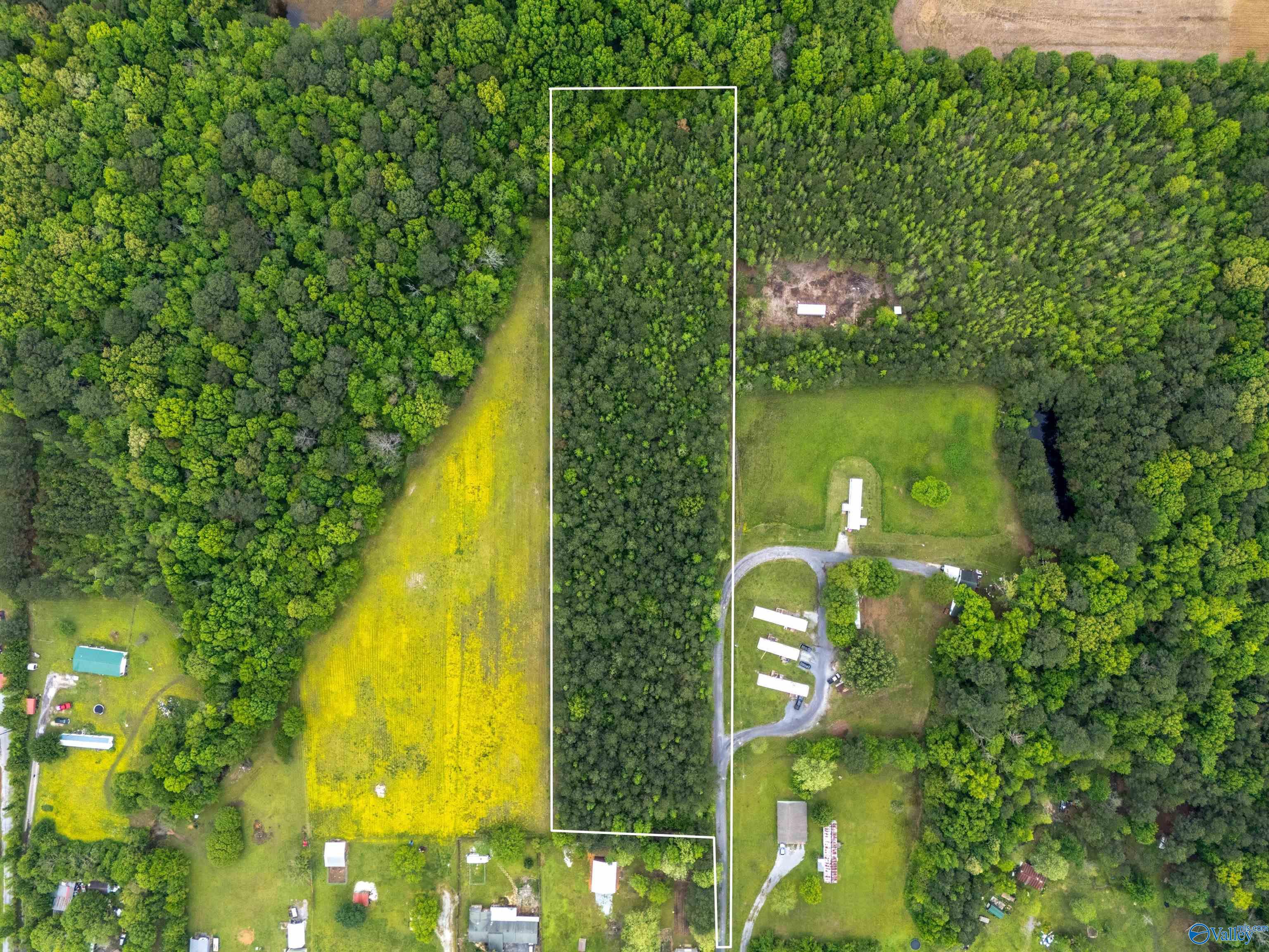 5.50 Acres New Garden Road, Elkmont, Alabama image 1