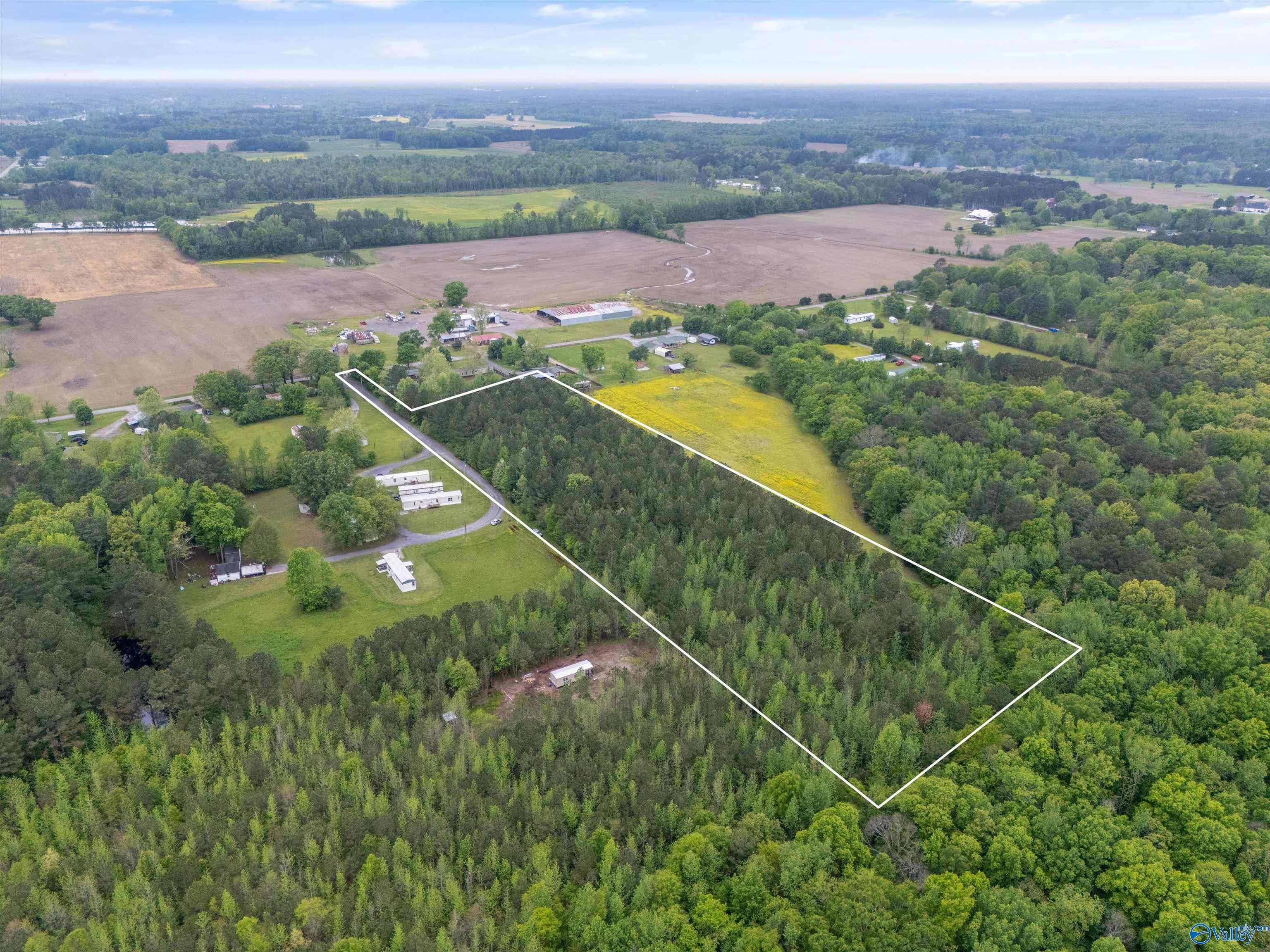 5.50 Acres New Garden Road, Elkmont, Alabama image 5