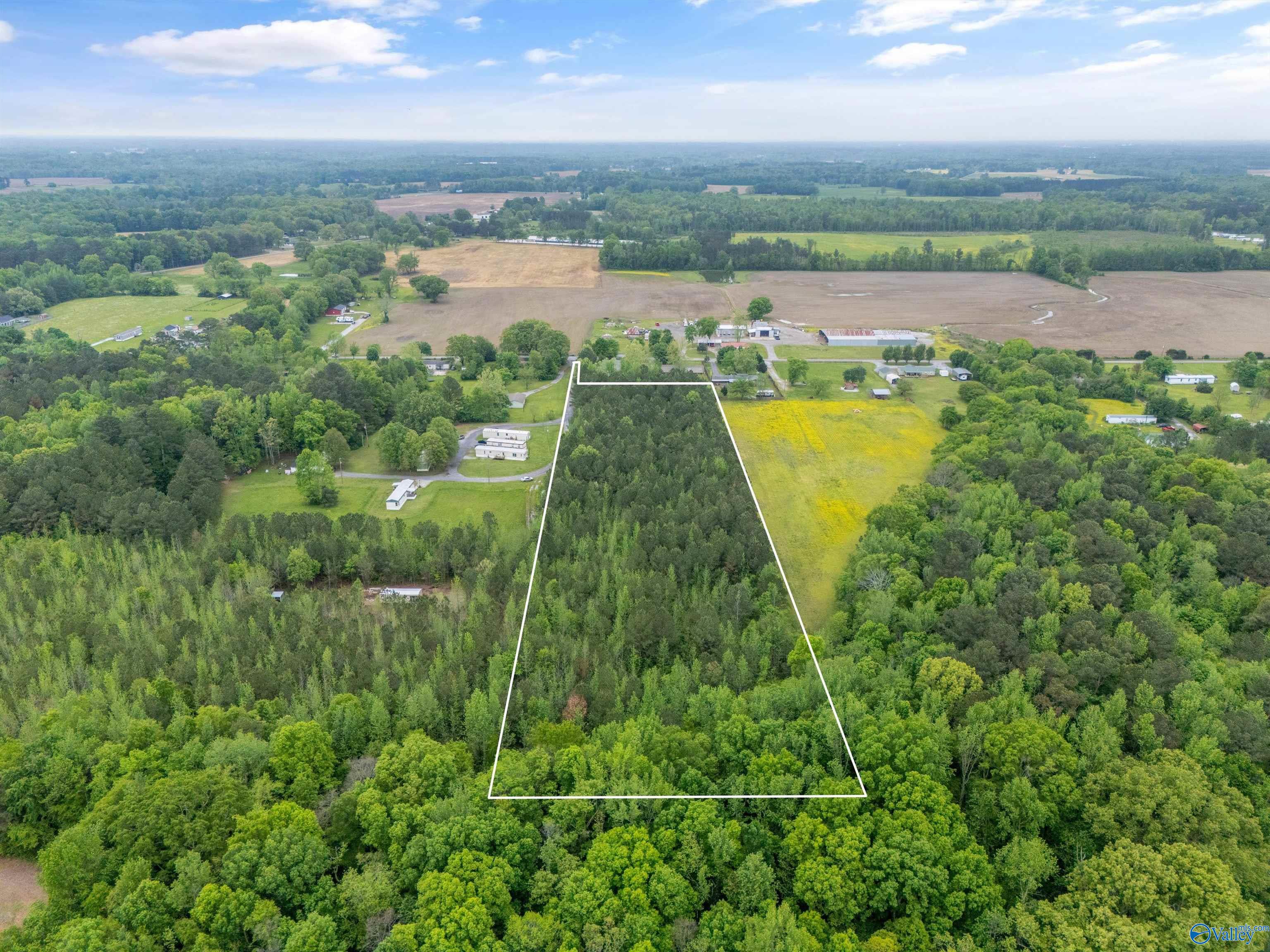 5.50 Acres New Garden Road, Elkmont, Alabama image 3