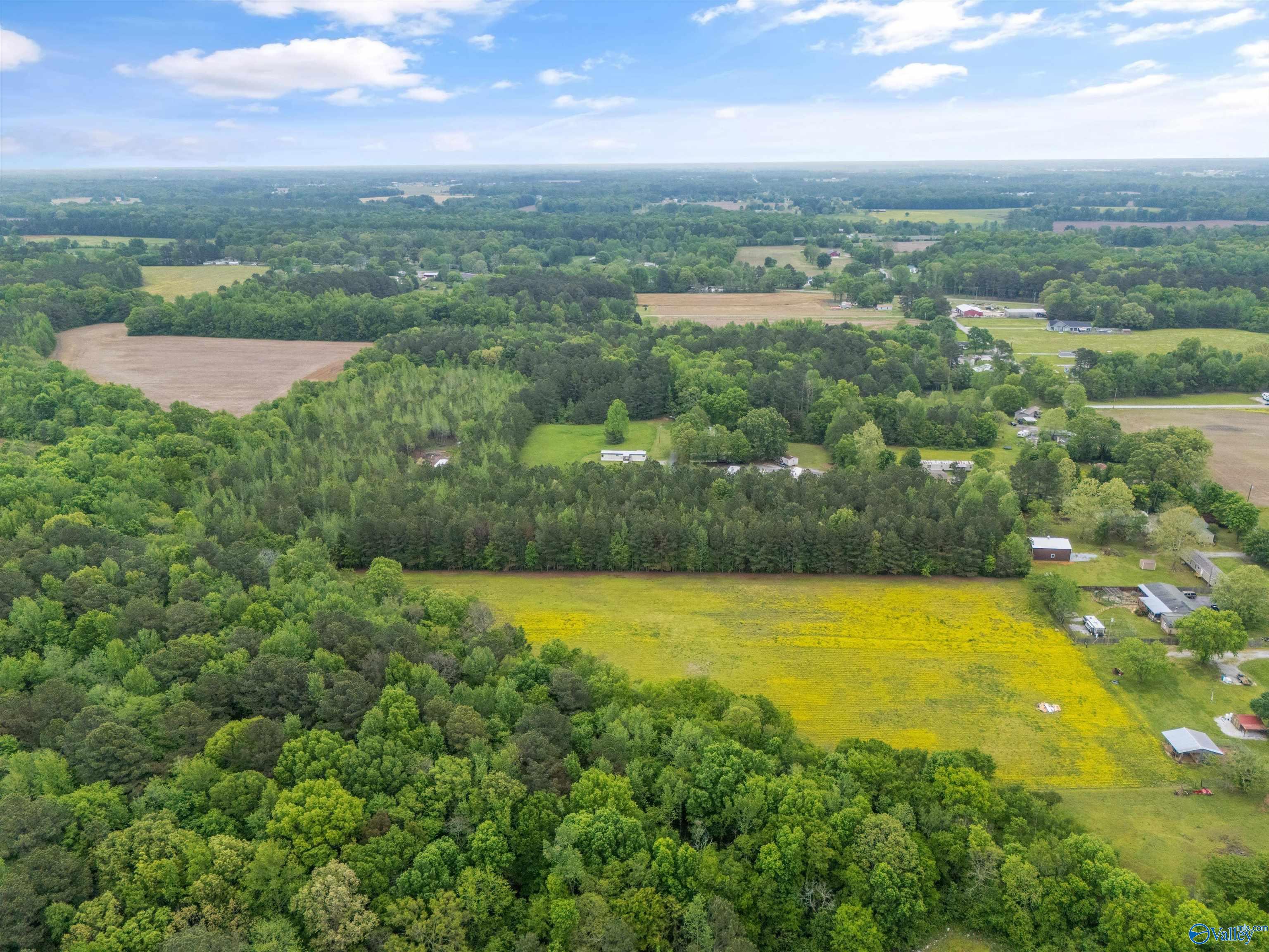5.50 Acres New Garden Road, Elkmont, Alabama image 7