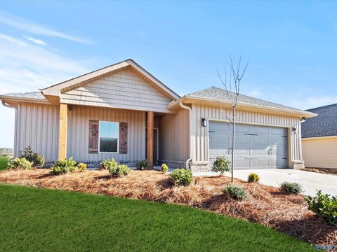 201 Deer Trail Union Grove AL 35175