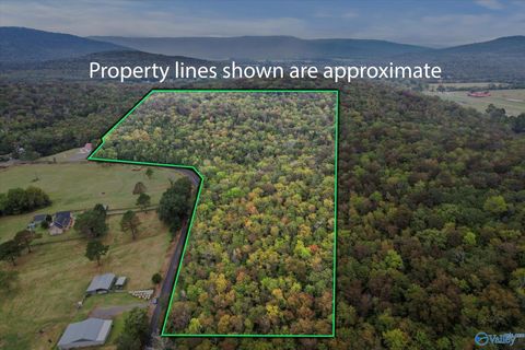 Vacant Land For Sale - 18 ACRES Little Arkansas Road<br/> Woodville, AL 35776