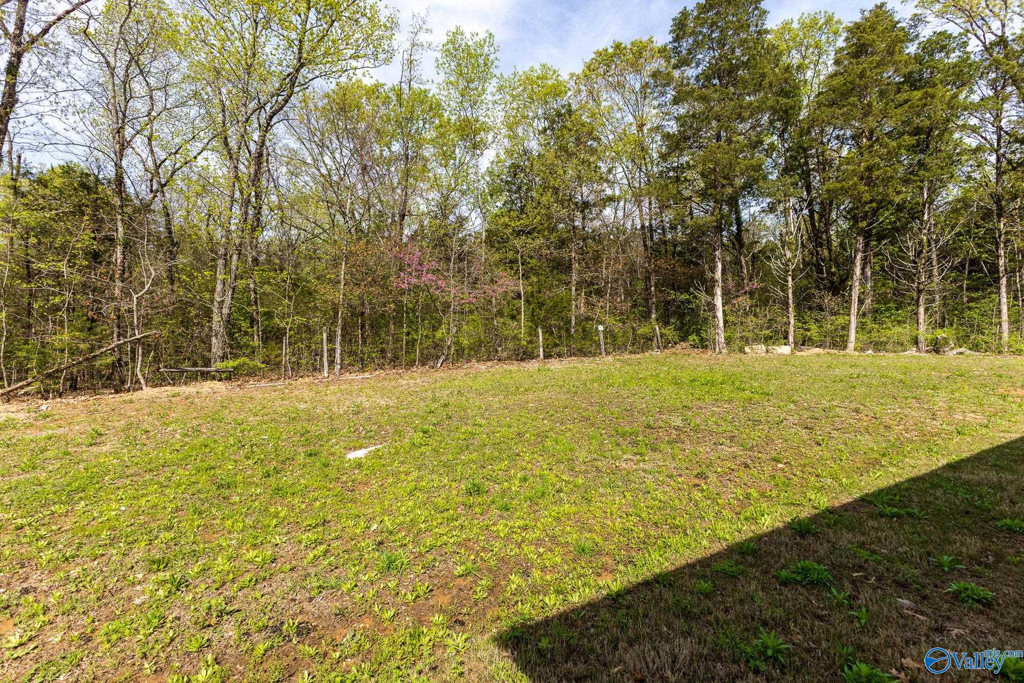 192 Forest Home Drive, Trinity, Alabama image 31
