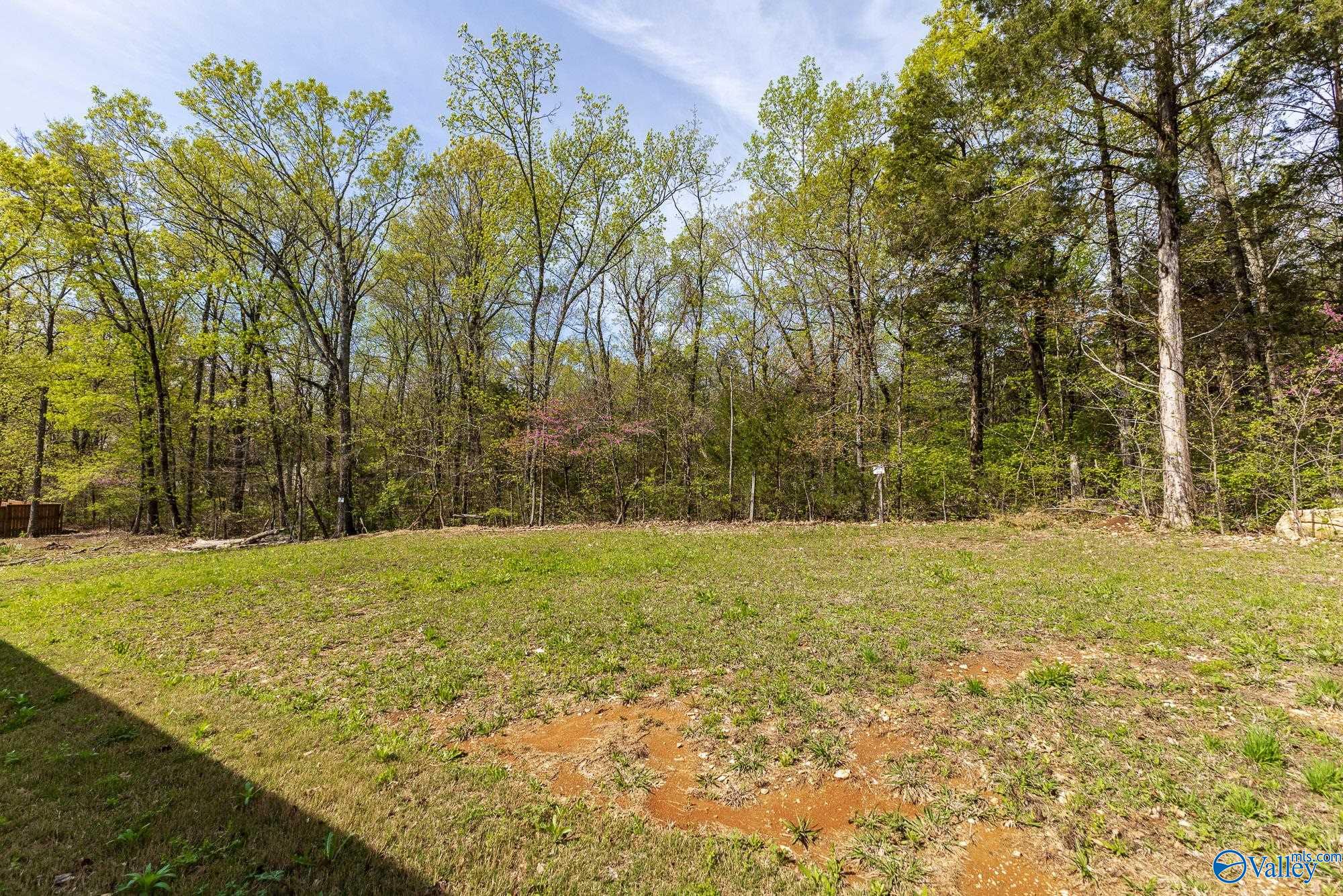 192 Forest Home Drive, Trinity, Alabama image 32