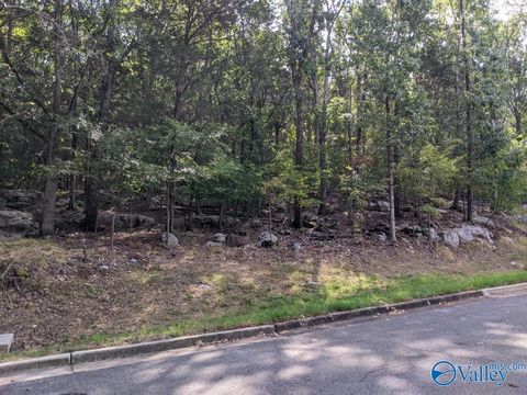 Vacant Land For Sale - 8031 Tea Garden Road<br/> Huntsville, AL 35802