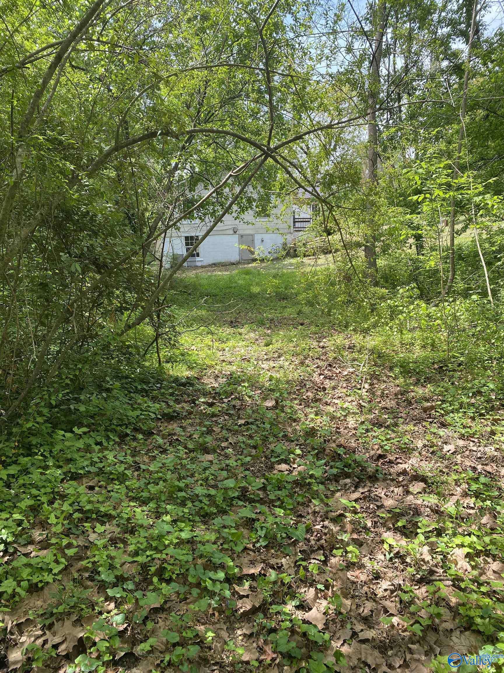 .17 Clayton Avenue, Gadsden, Alabama image 1