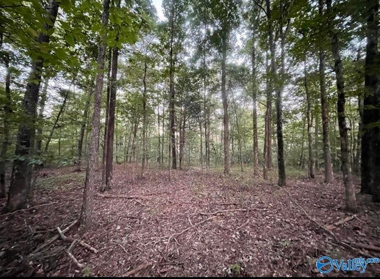 418 MANCHESTER DR, GUNTERSVILLE, AL 35976 - Image 72fb703e5618bdc742fcd6c8b998b6d0/560280943