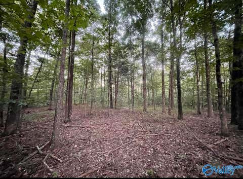 Vacant Land For Sale - 418 Manchester Drive<br/> Guntersville, AL 35976