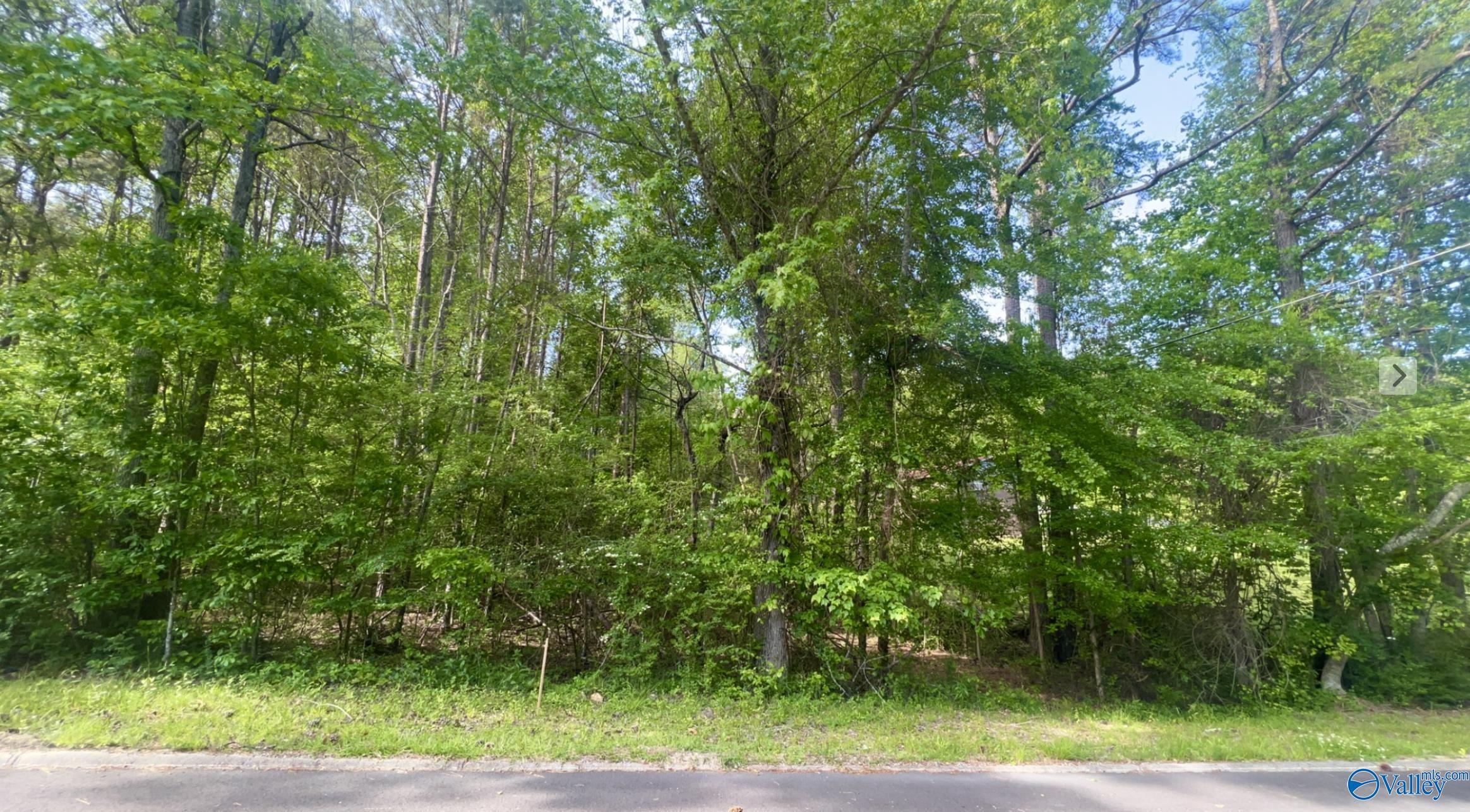 Lot 40 Hickory Avenue, Haleyville, Alabama image 2