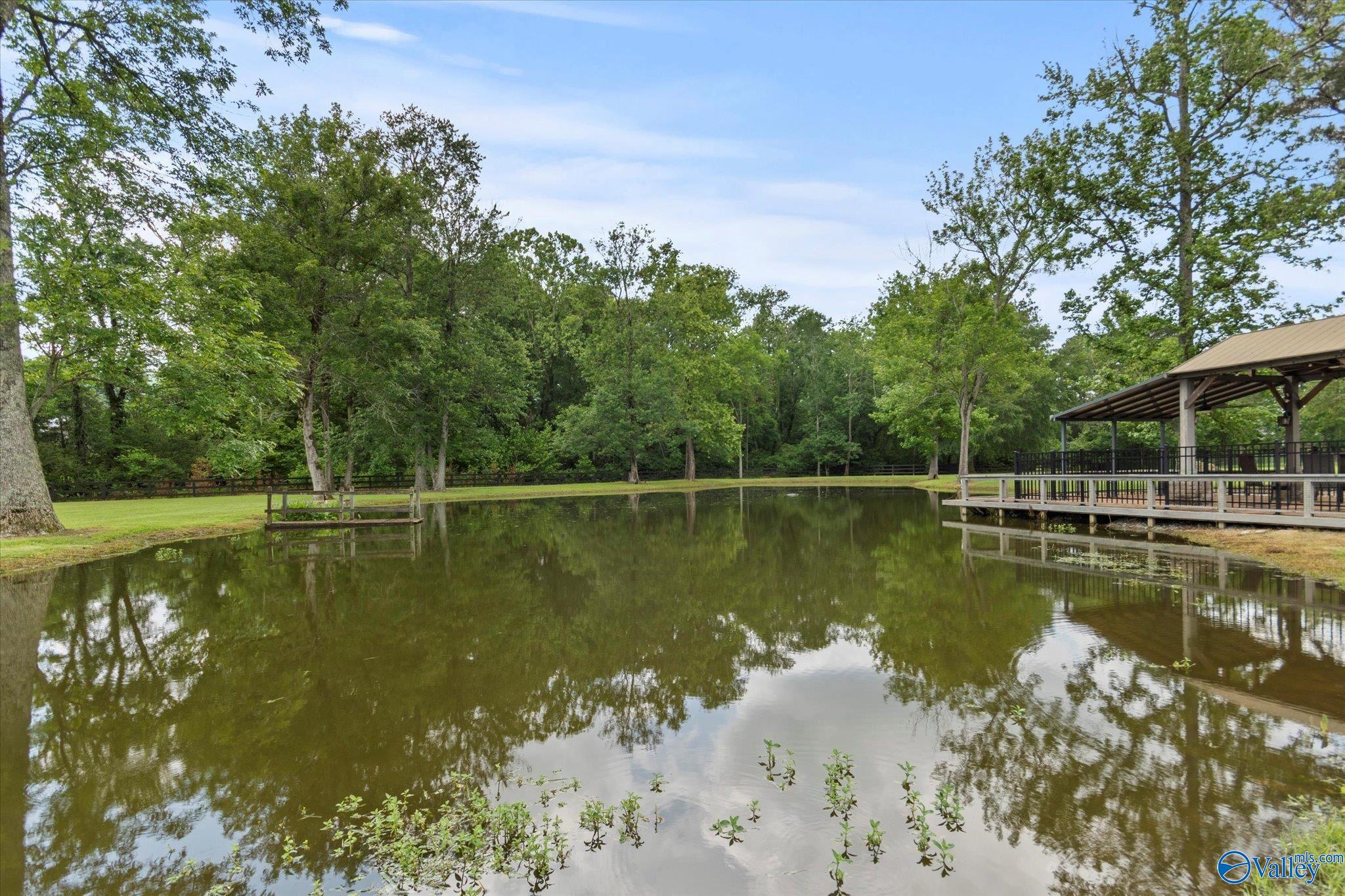 156 South Green Mountain Road, Owens Cross Roads, Alabama image 41